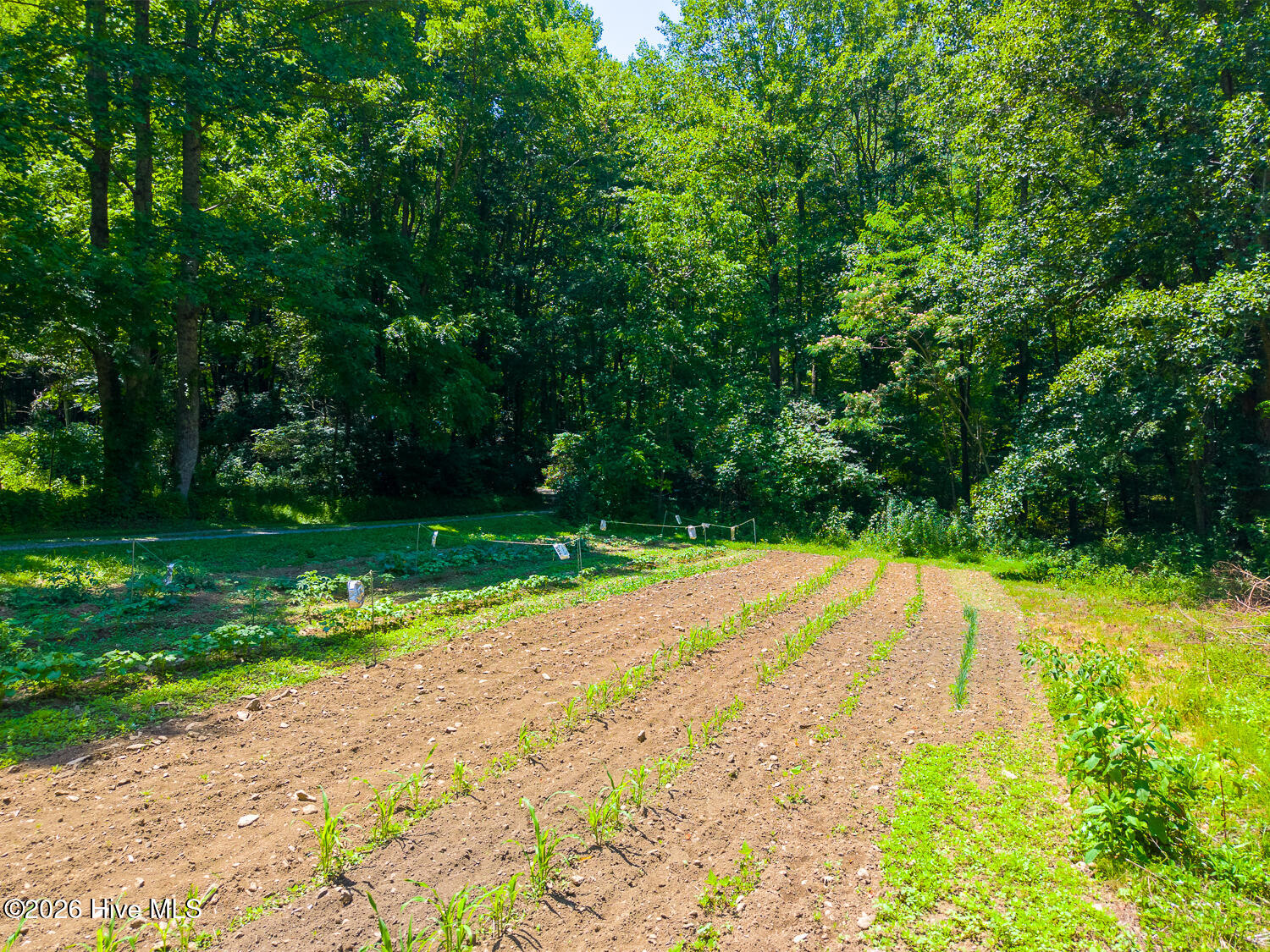 394 Anderson Road Property Photo 46