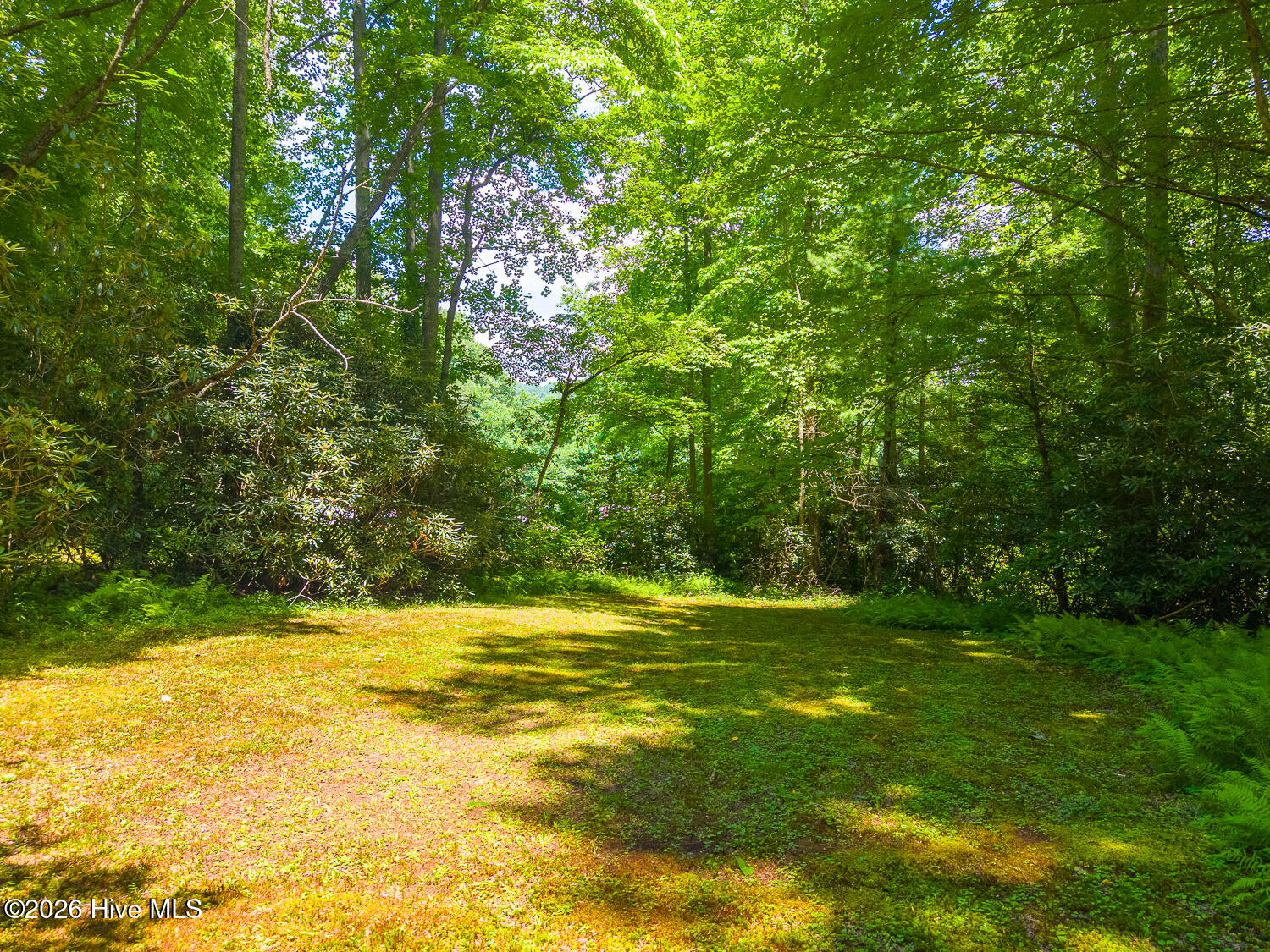 394 Anderson Road Property Photo 67