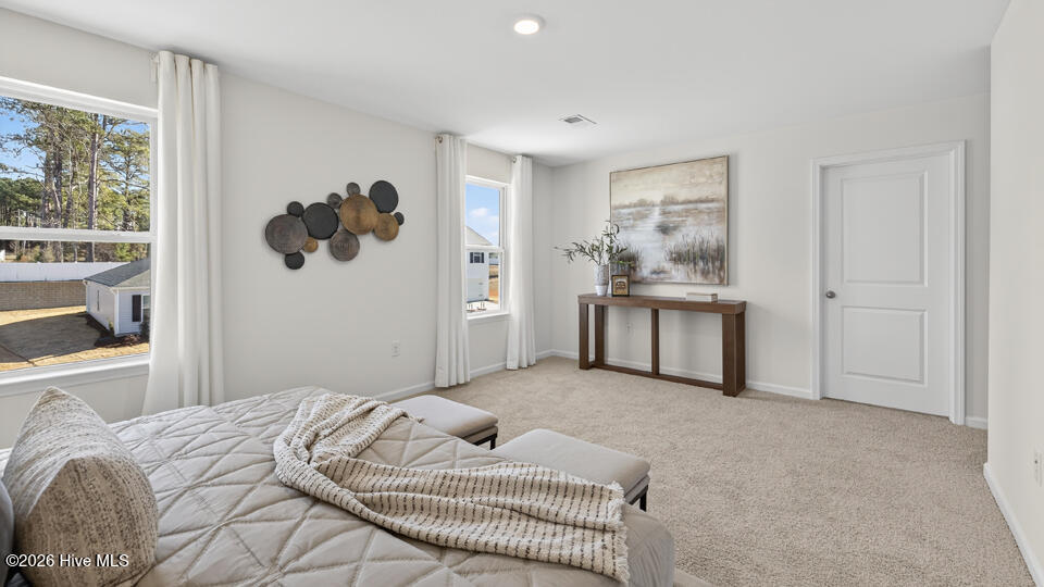 507 Chestnut Oak Drive Property Photo 17