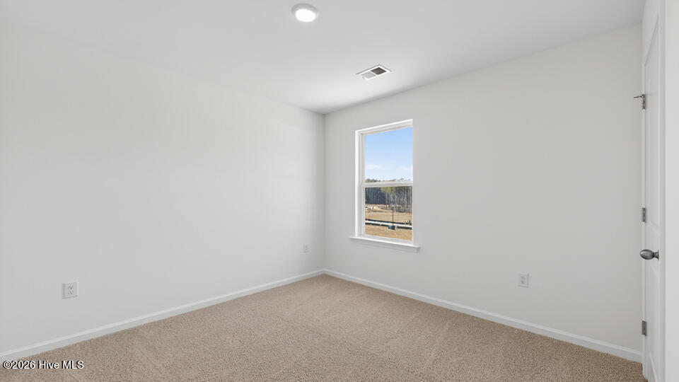 507 Chestnut Oak Drive Property Photo 21