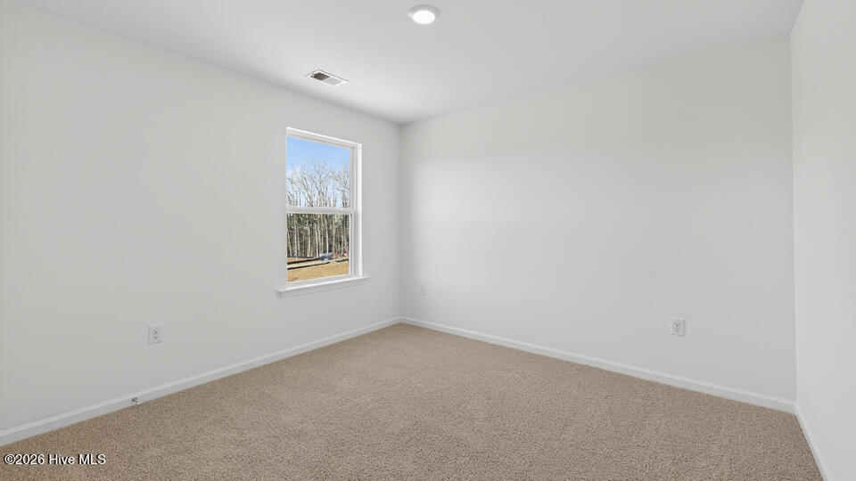 507 Chestnut Oak Drive Property Photo 22