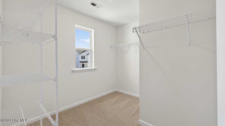 507 Chestnut Oak Drive Property Photo 28