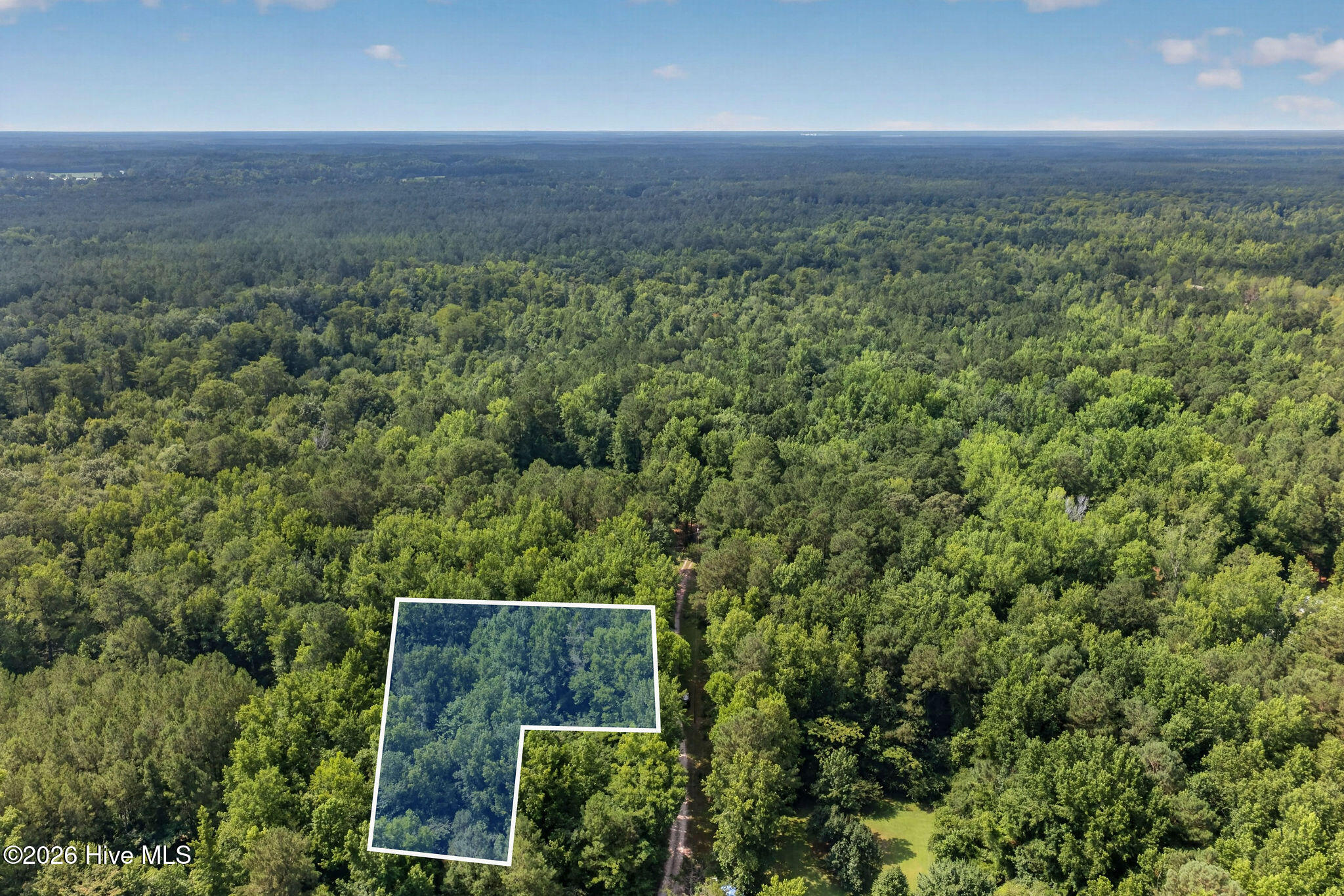 .64 Acres Off Nc Highway 210 Property Photo 14