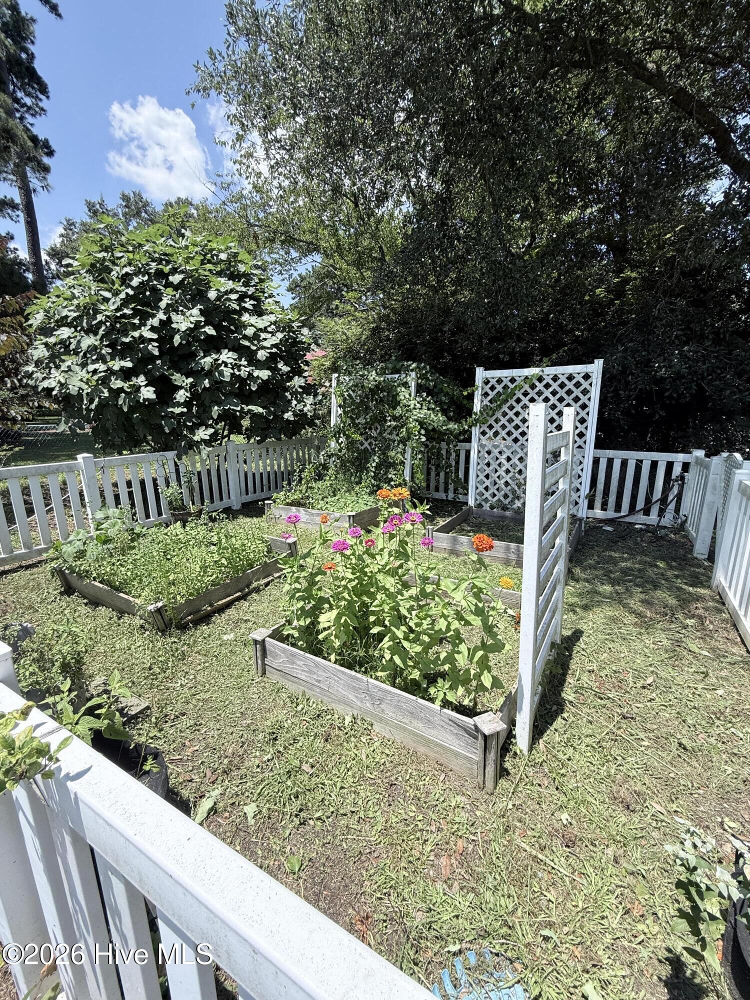 209 E Palmer Drive Property Photo 41