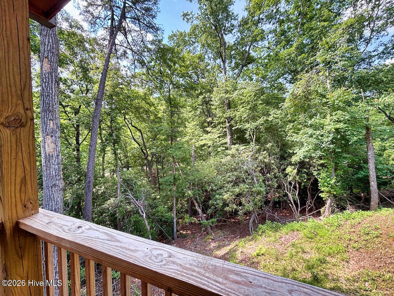 325 Dawsons Lane Property Photo 17