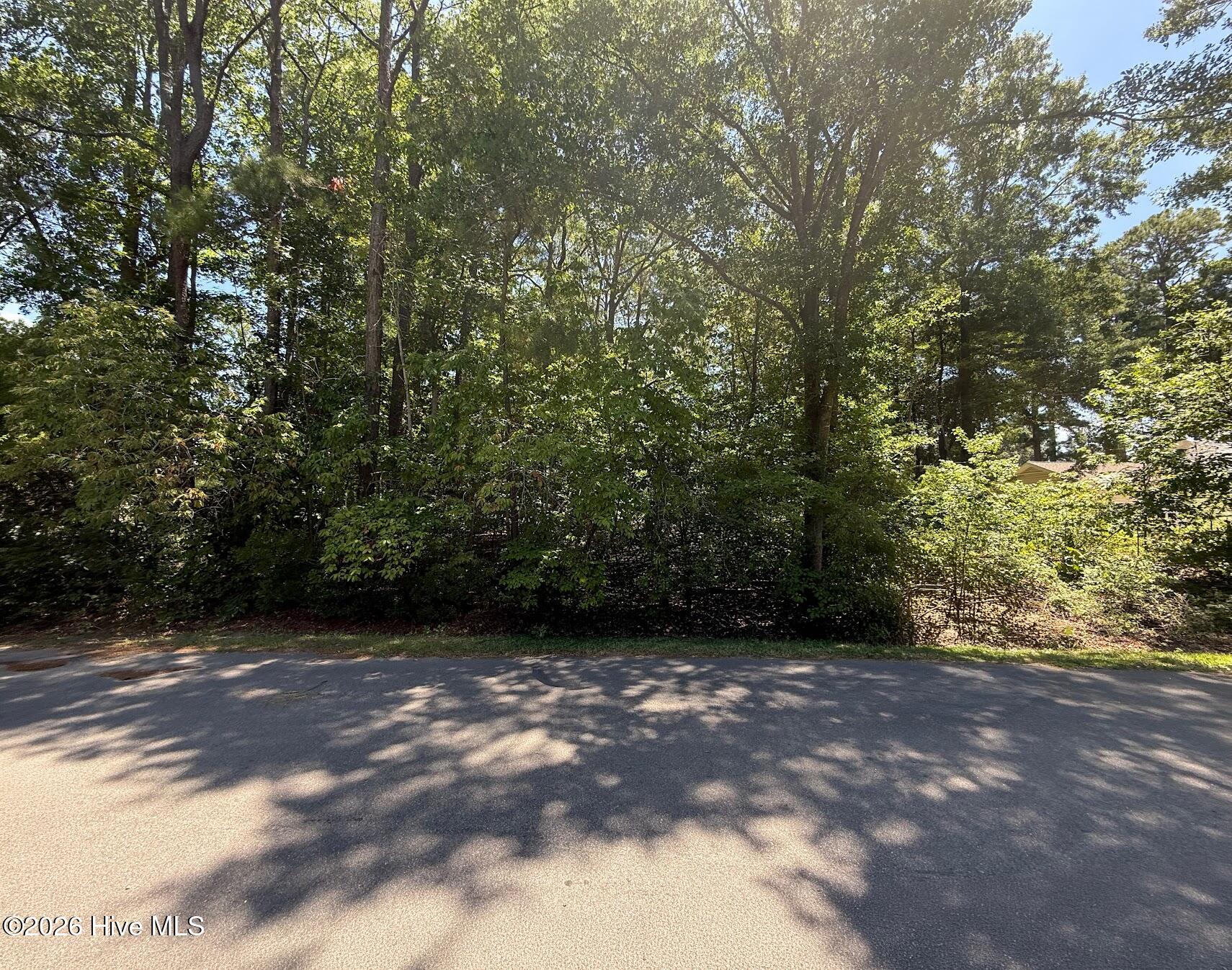 0 Clydes Drive Property Photo 1