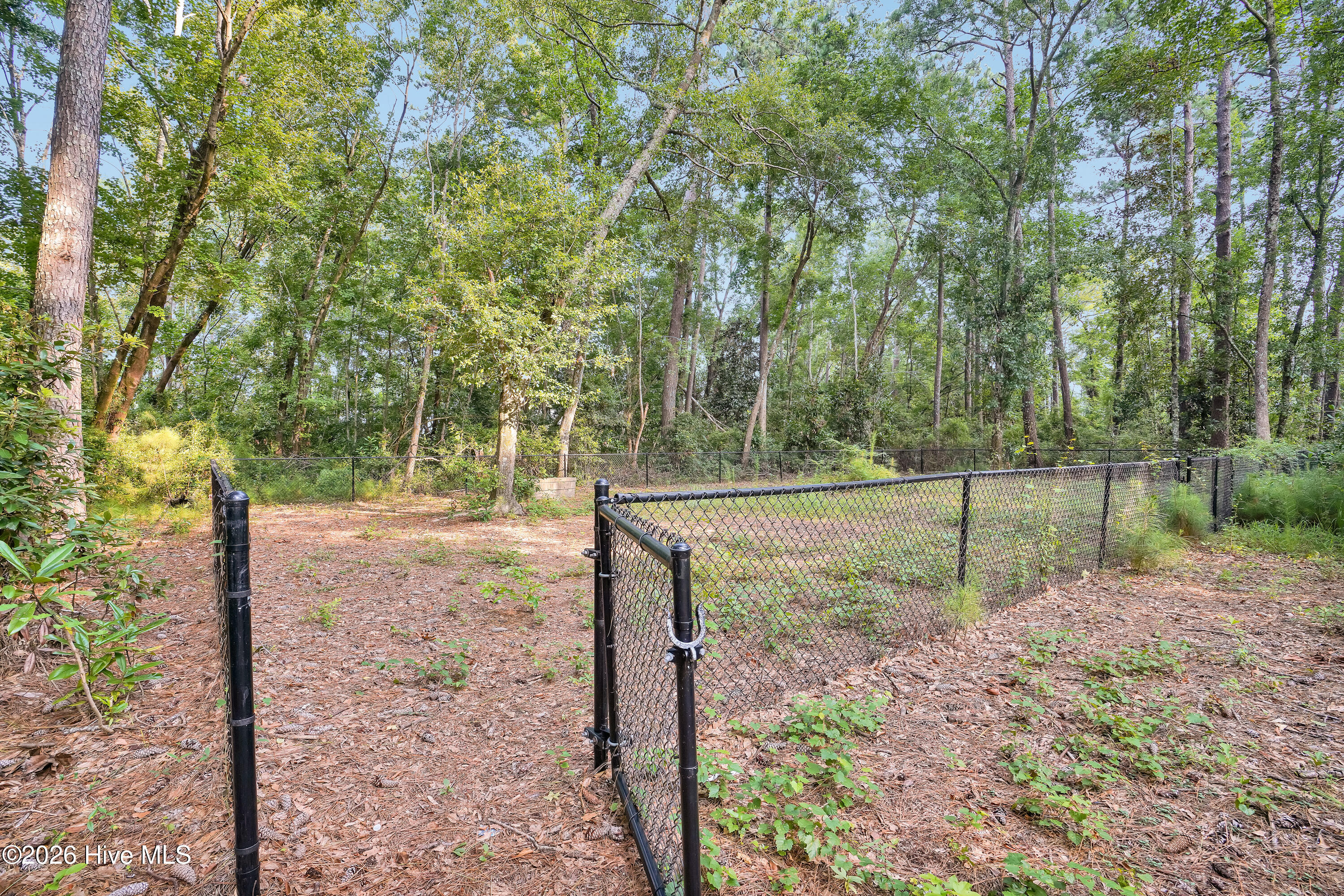 6027 Pine Laurel Drive Property Photo 40