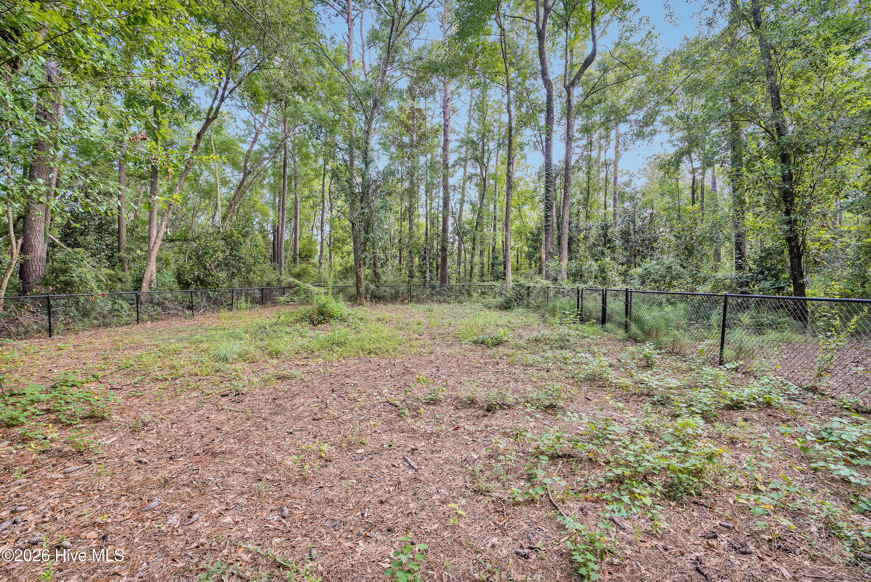 6027 Pine Laurel Drive Property Photo 41
