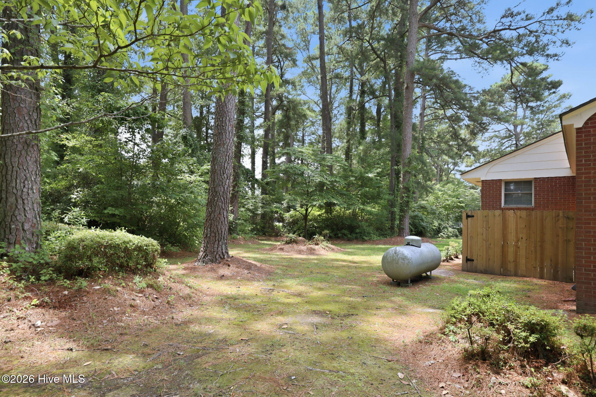 211 Nelson Street Property Photo 42
