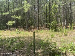 Tbd Boling Way Property Photo 2