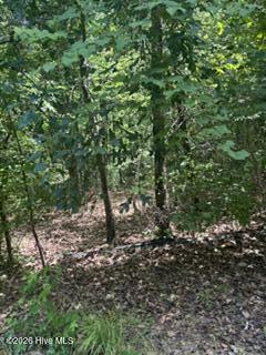 Tbd Boling Way Property Photo 3