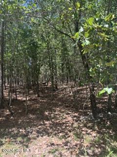 Tbd Boling Way Property Photo 4