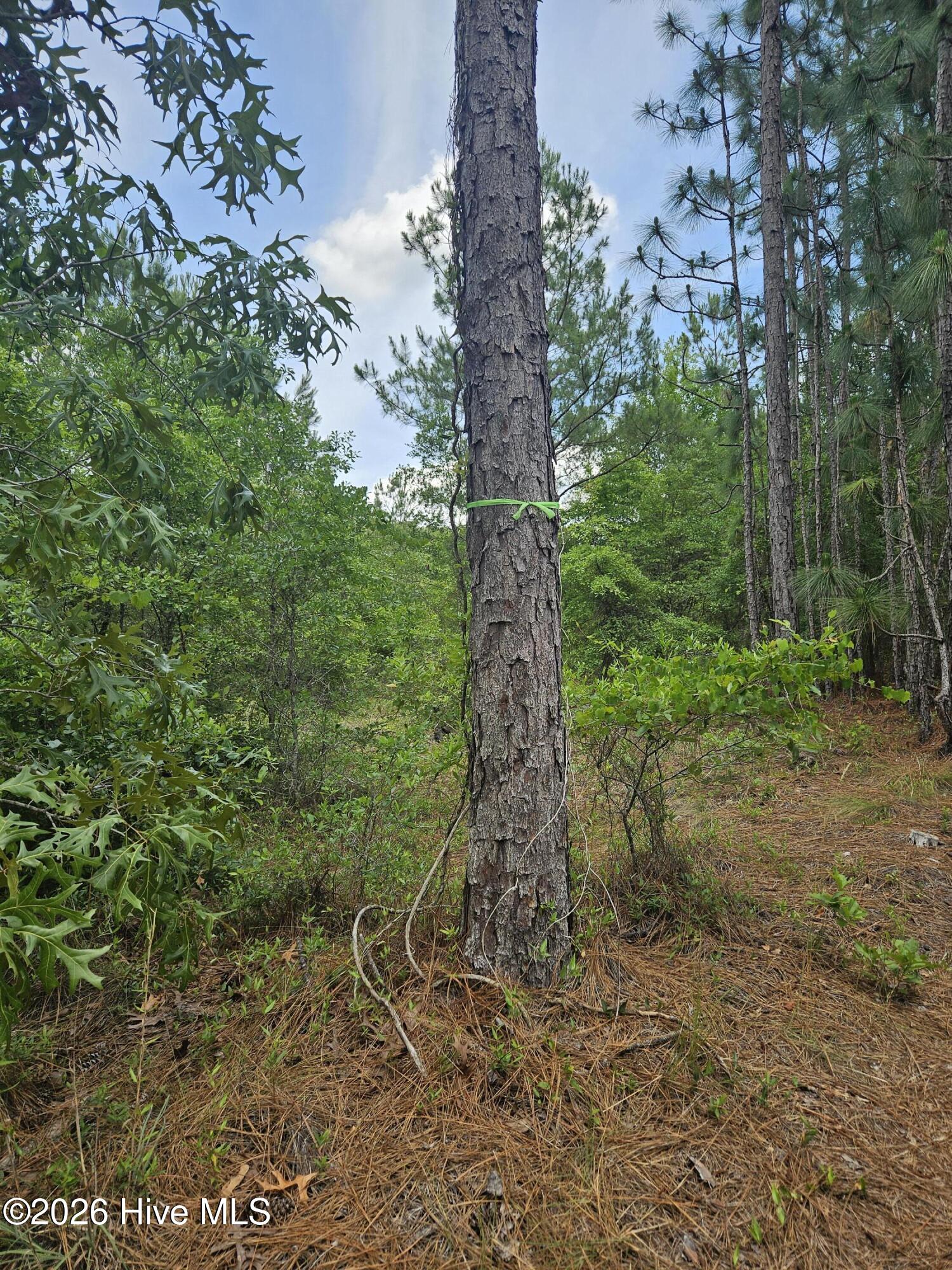 0 Phoenix Parkway Property Photo 3