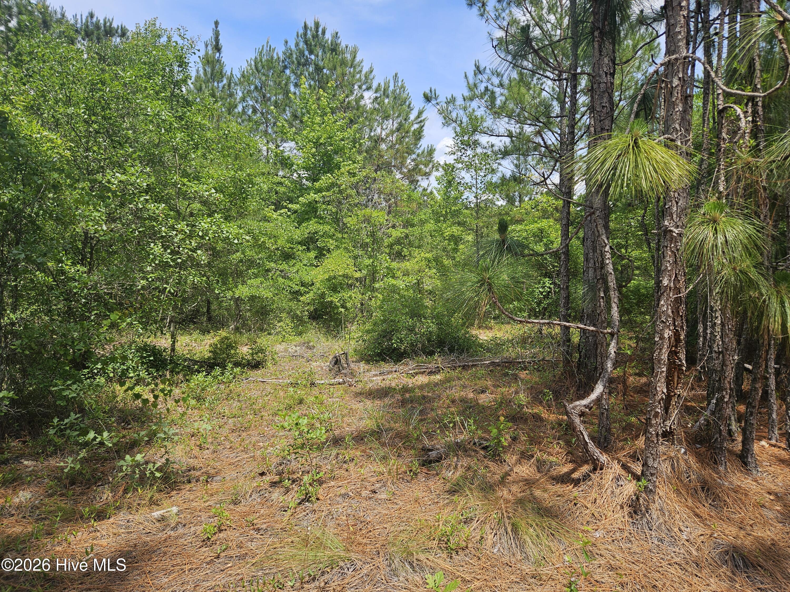 0 Phoenix Parkway Property Photo 4