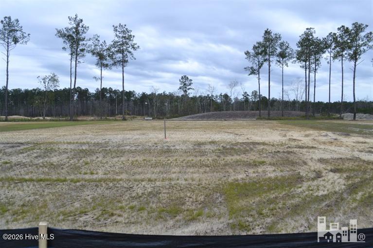 1081 32 Oak Canopy Drive Property Photo 1