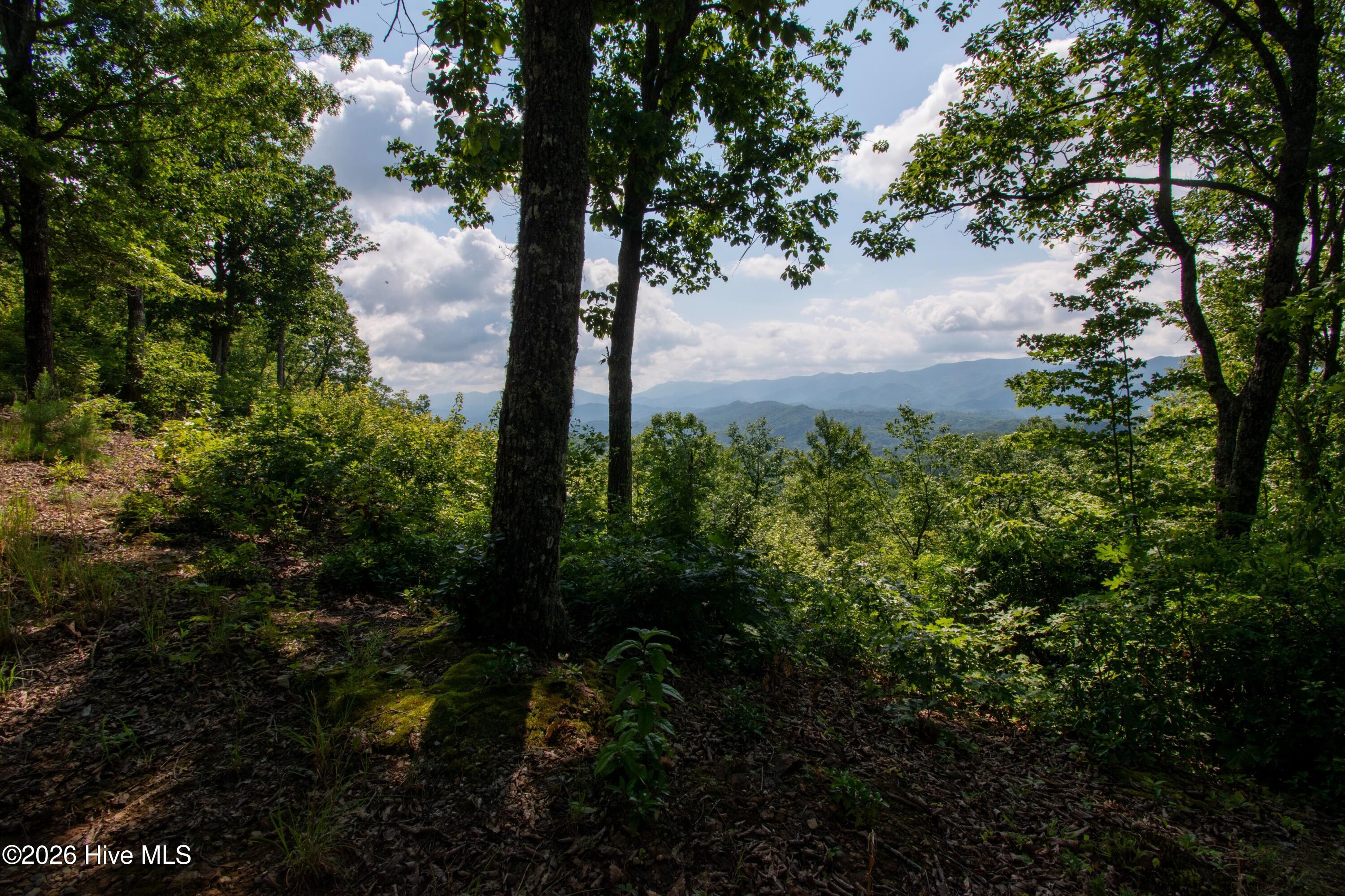 850 Bluff Road Property Photo 1