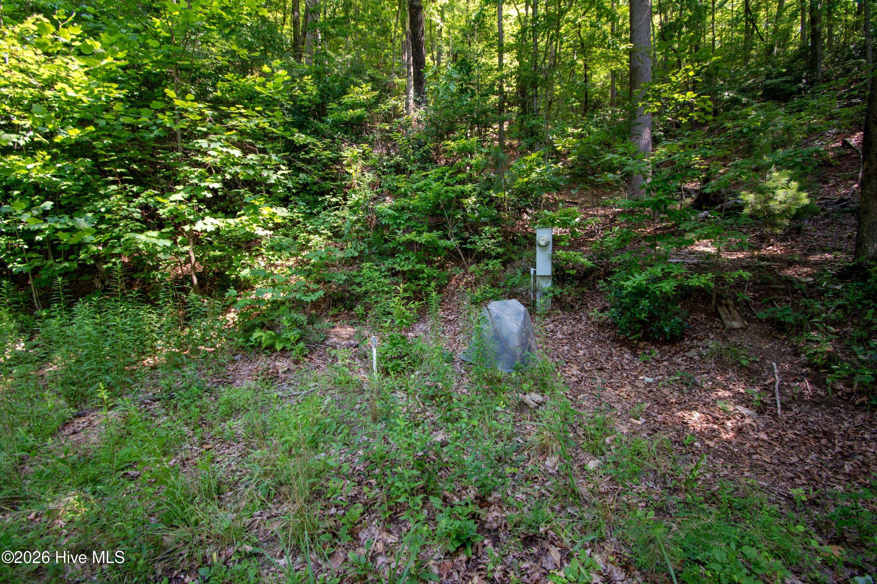 850 Bluff Road Property Photo 2