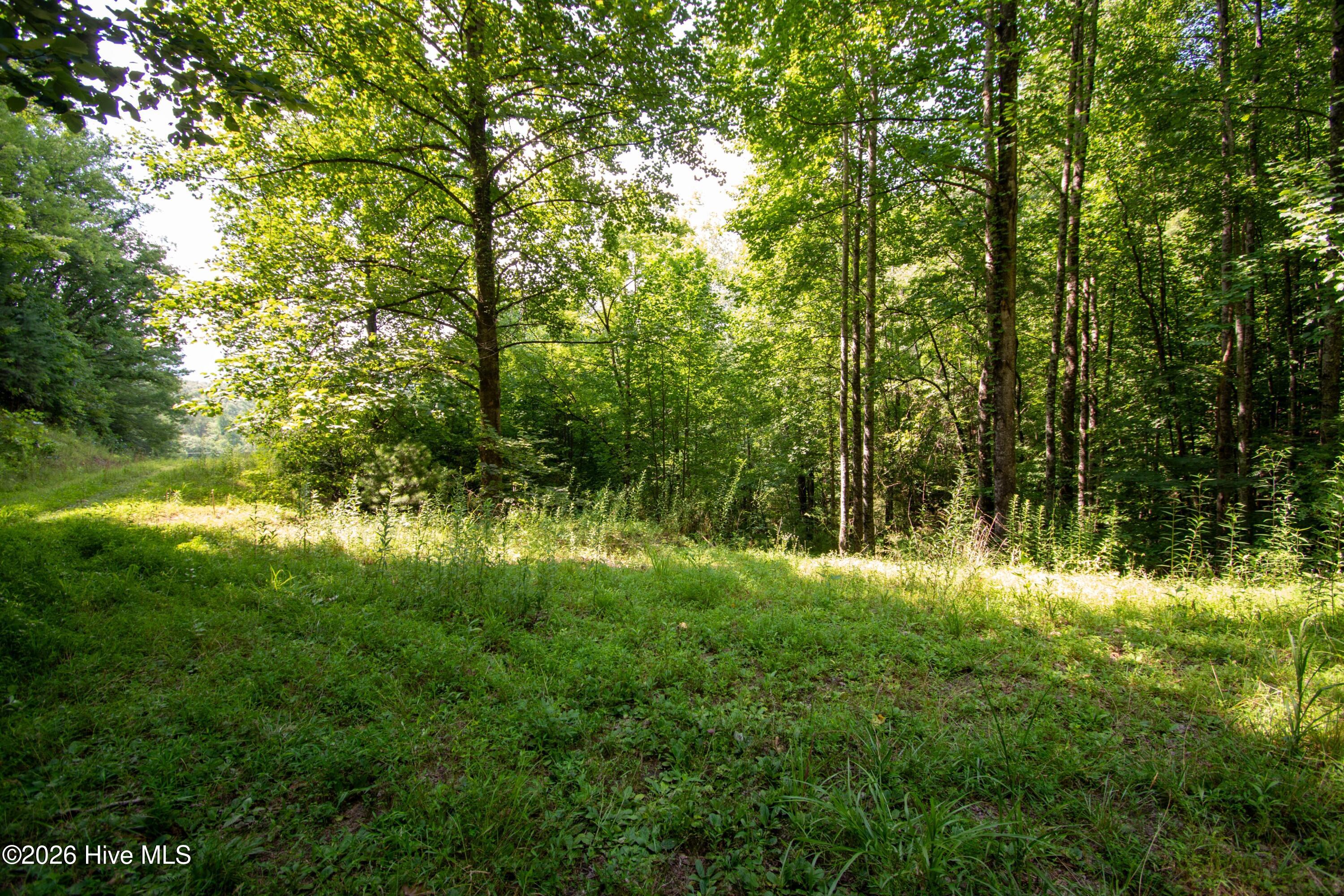850 Bluff Road Property Photo 3