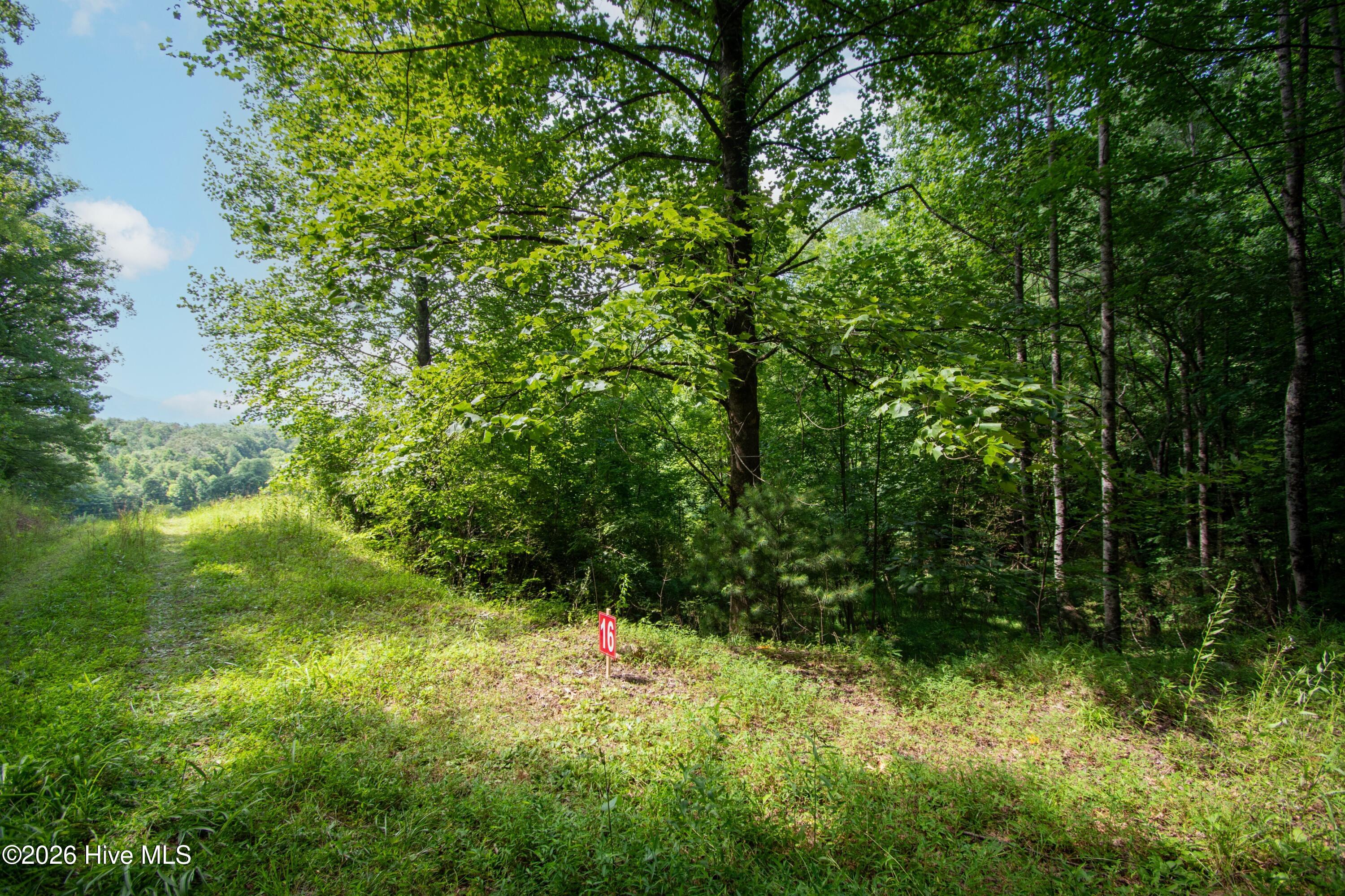 850 Bluff Road Property Photo 4