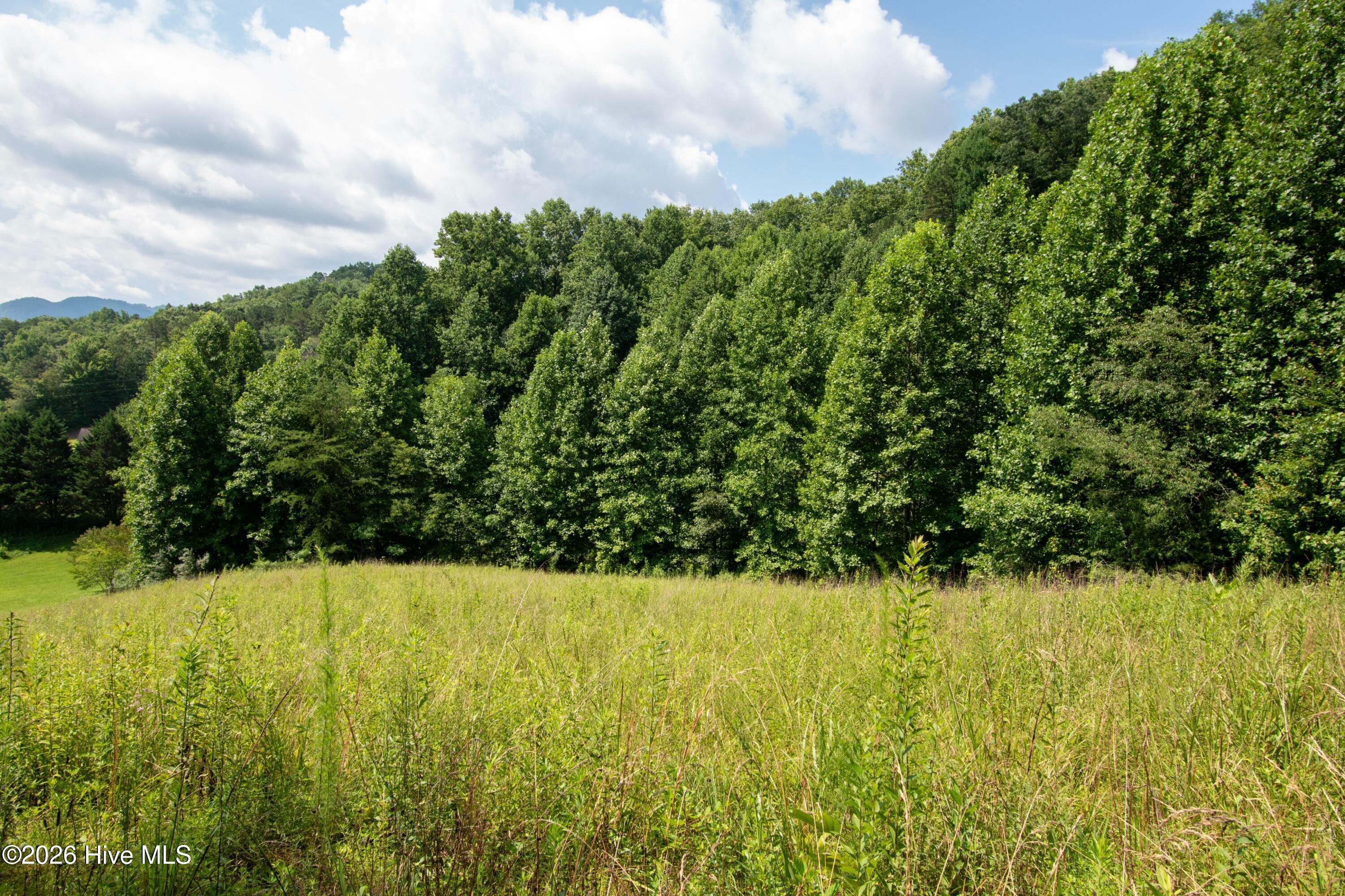 850 Bluff Road Property Photo 5