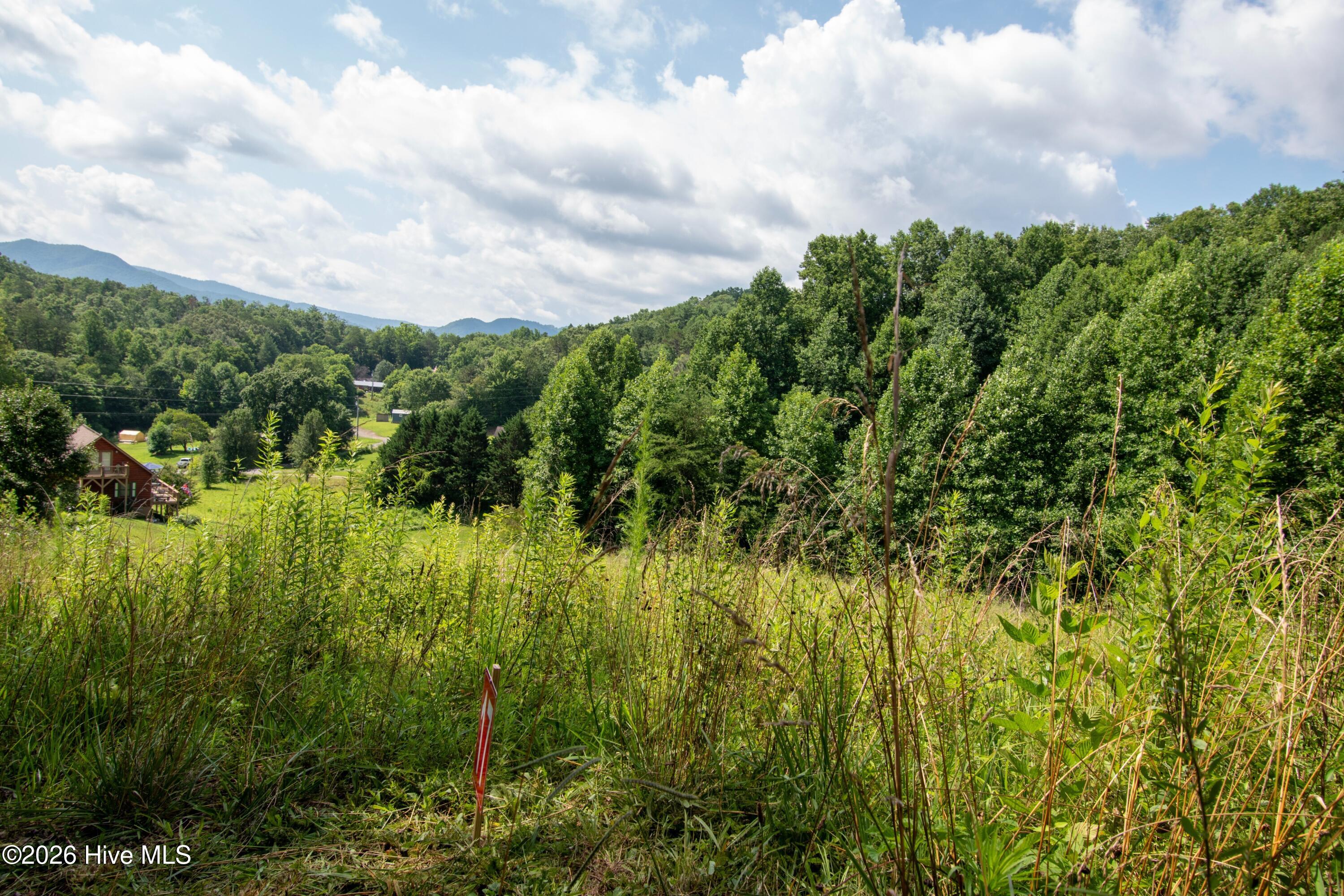 850 Bluff Road Property Photo 6