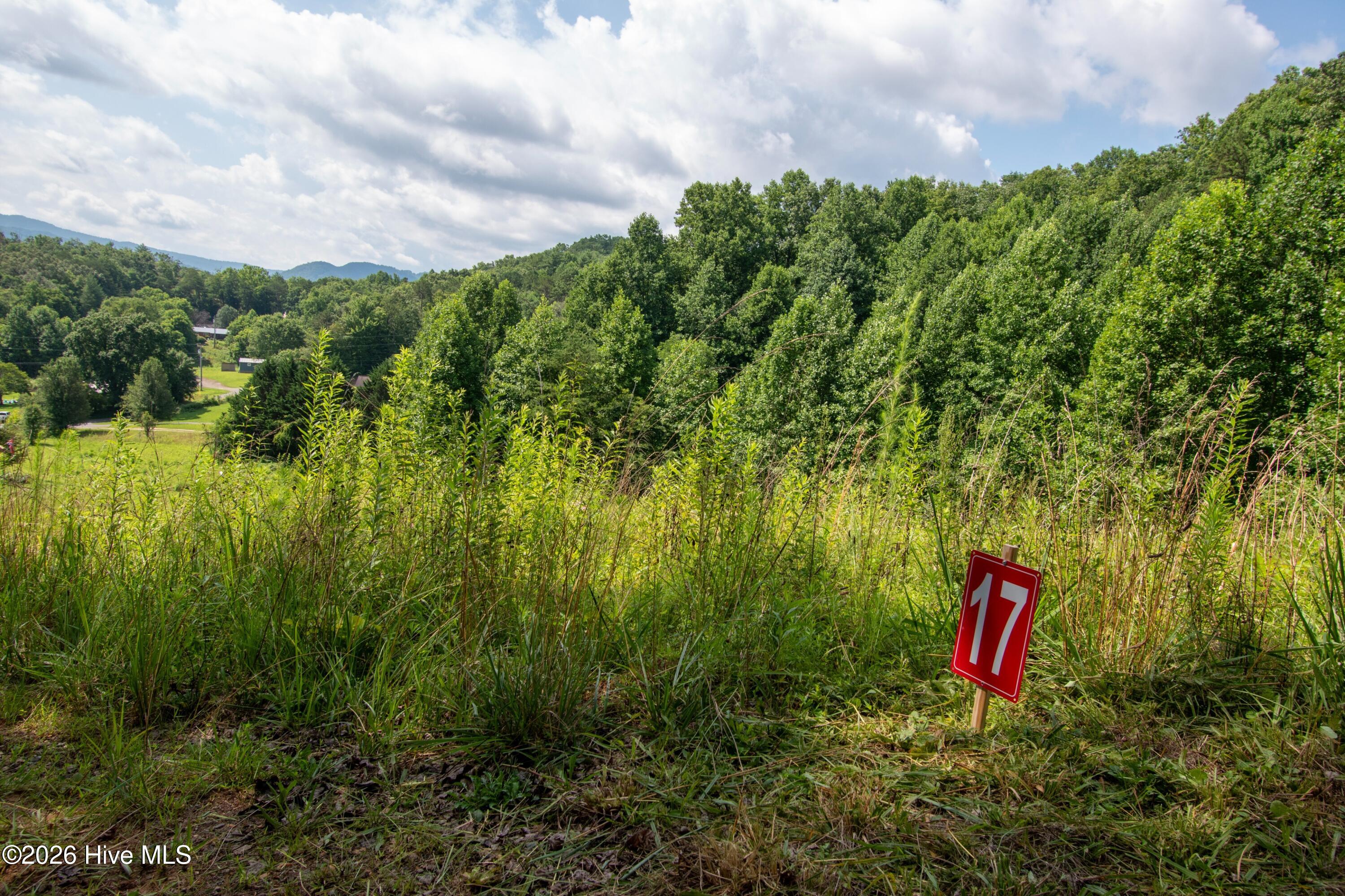 850 Bluff Road Property Photo 7