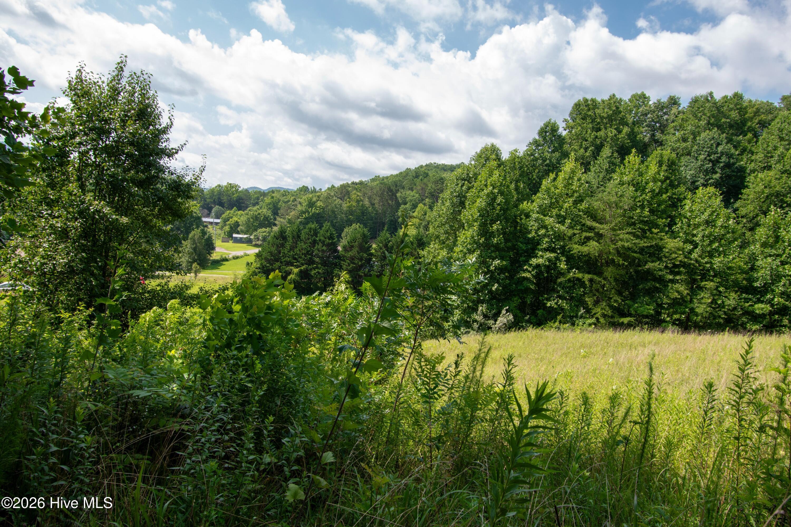 850 Bluff Road Property Photo 8