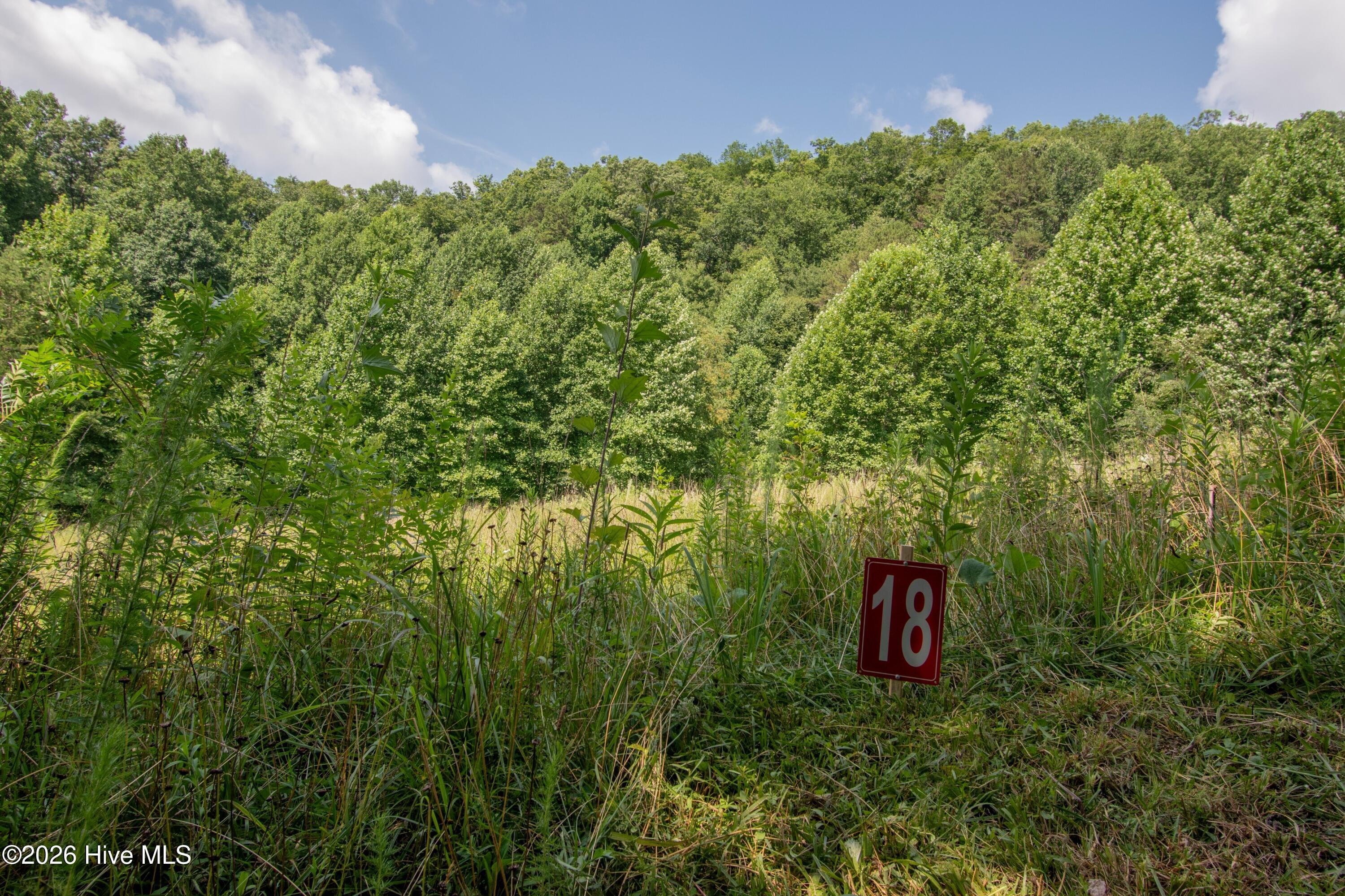 850 Bluff Road Property Photo 9