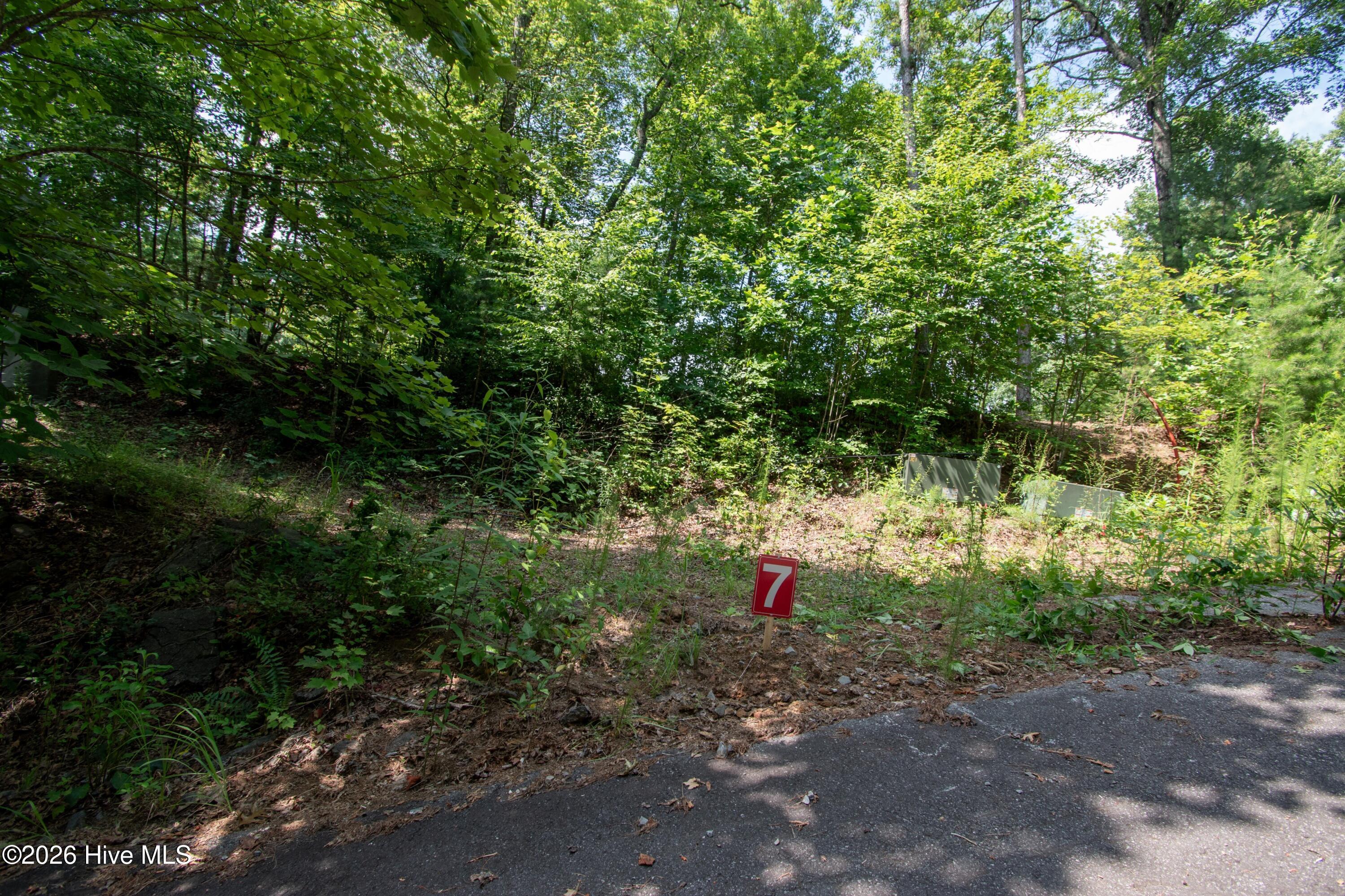 850 Bluff Road Property Photo 12