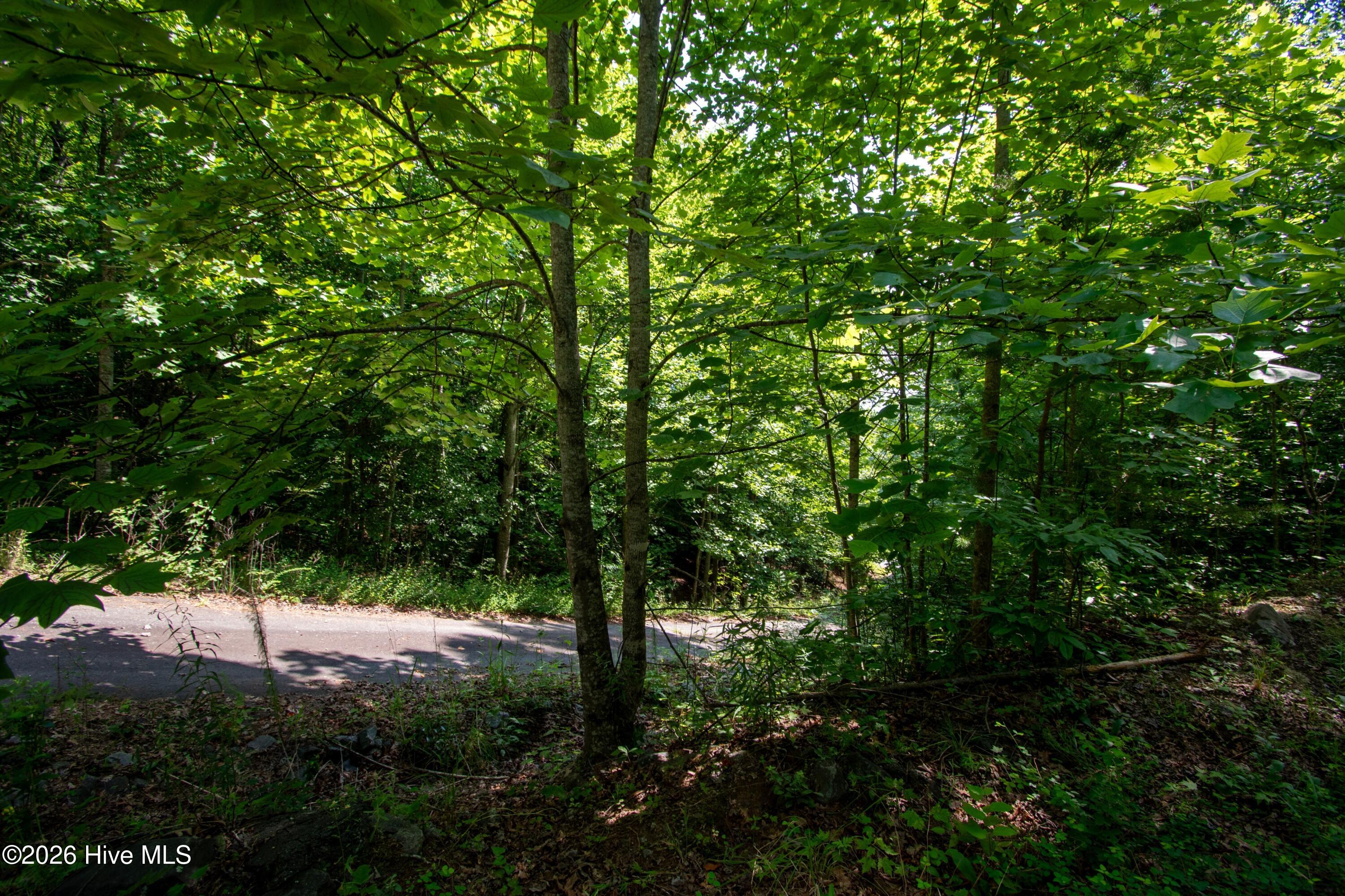 850 Bluff Road Property Photo 13