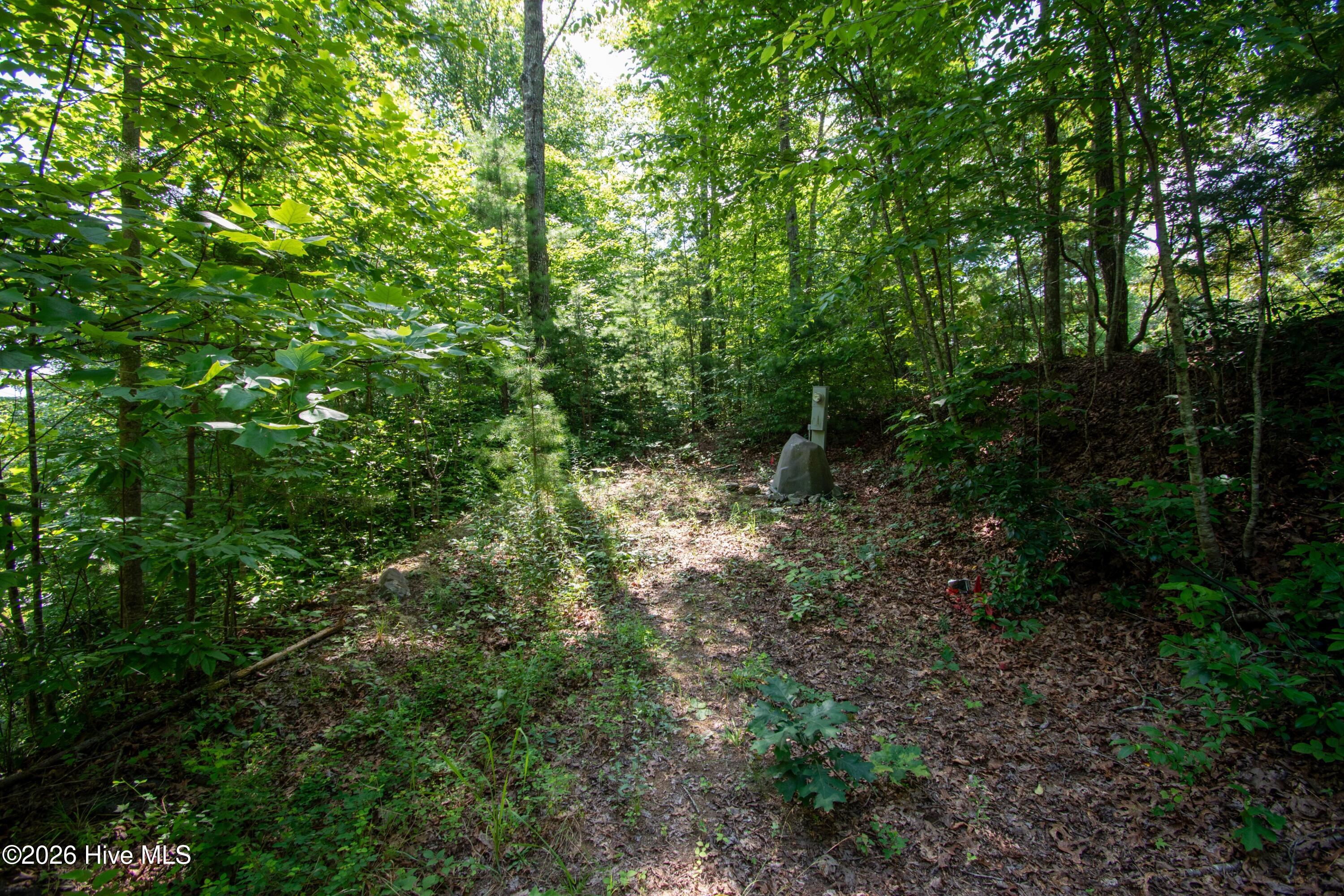 850 Bluff Road Property Photo 14