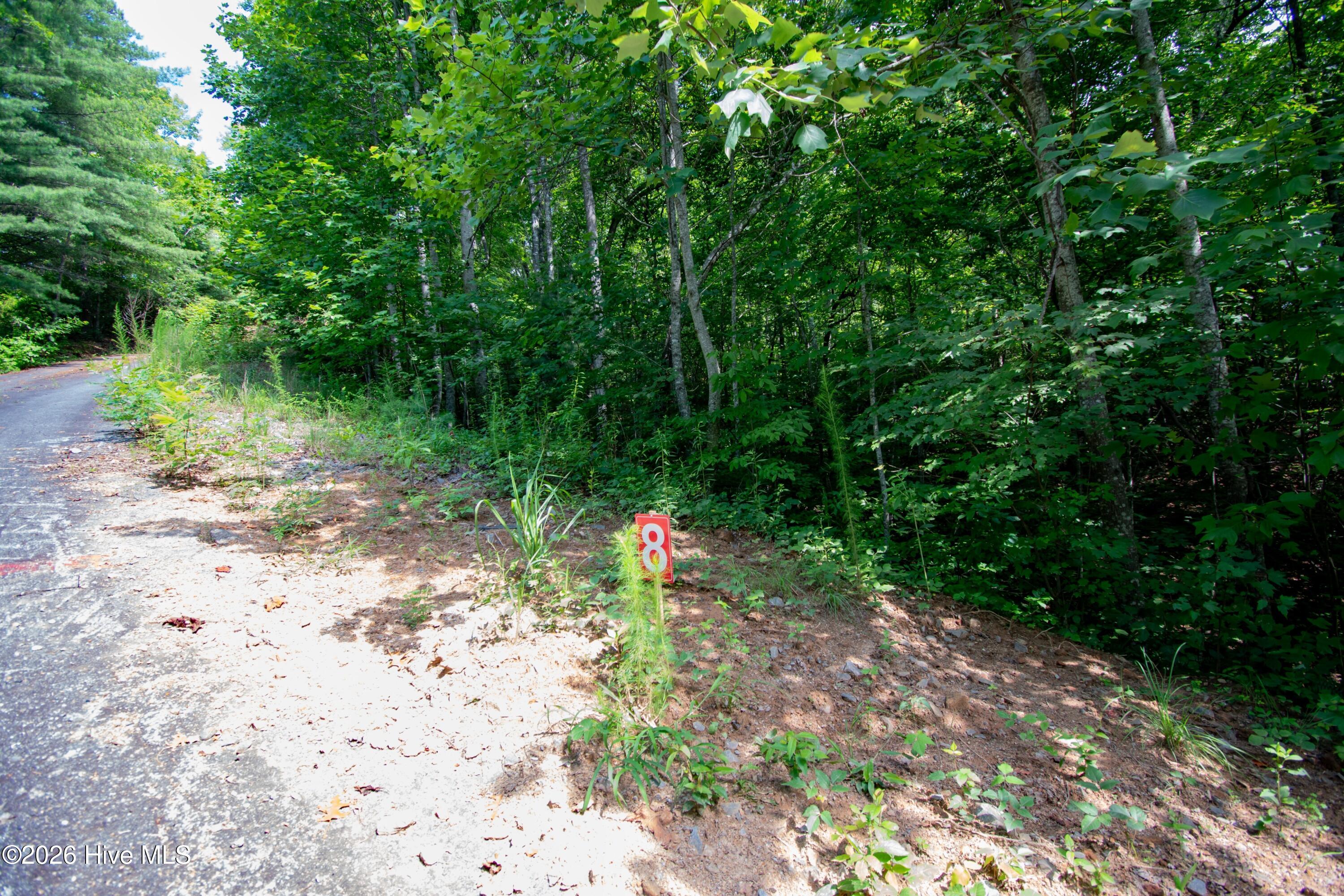 850 Bluff Road Property Photo 17