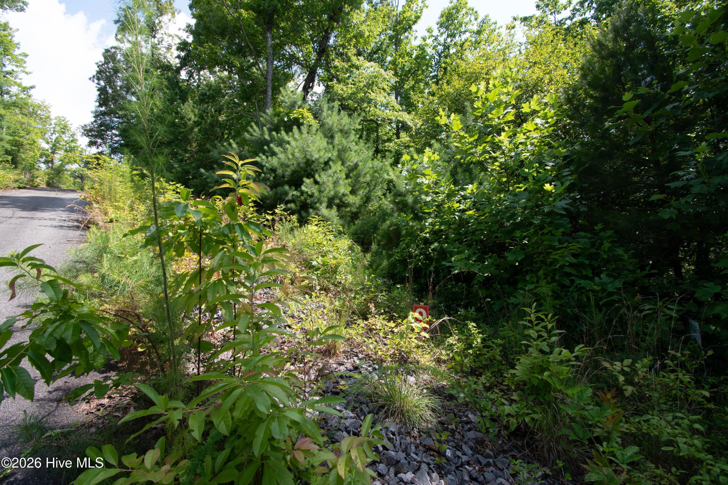 850 Bluff Road Property Photo 19