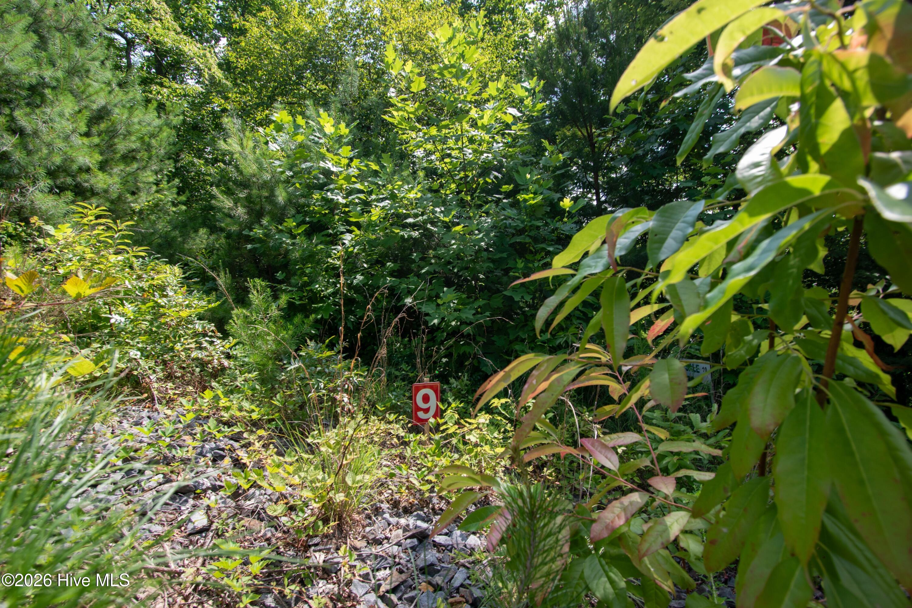 850 Bluff Road Property Photo 20
