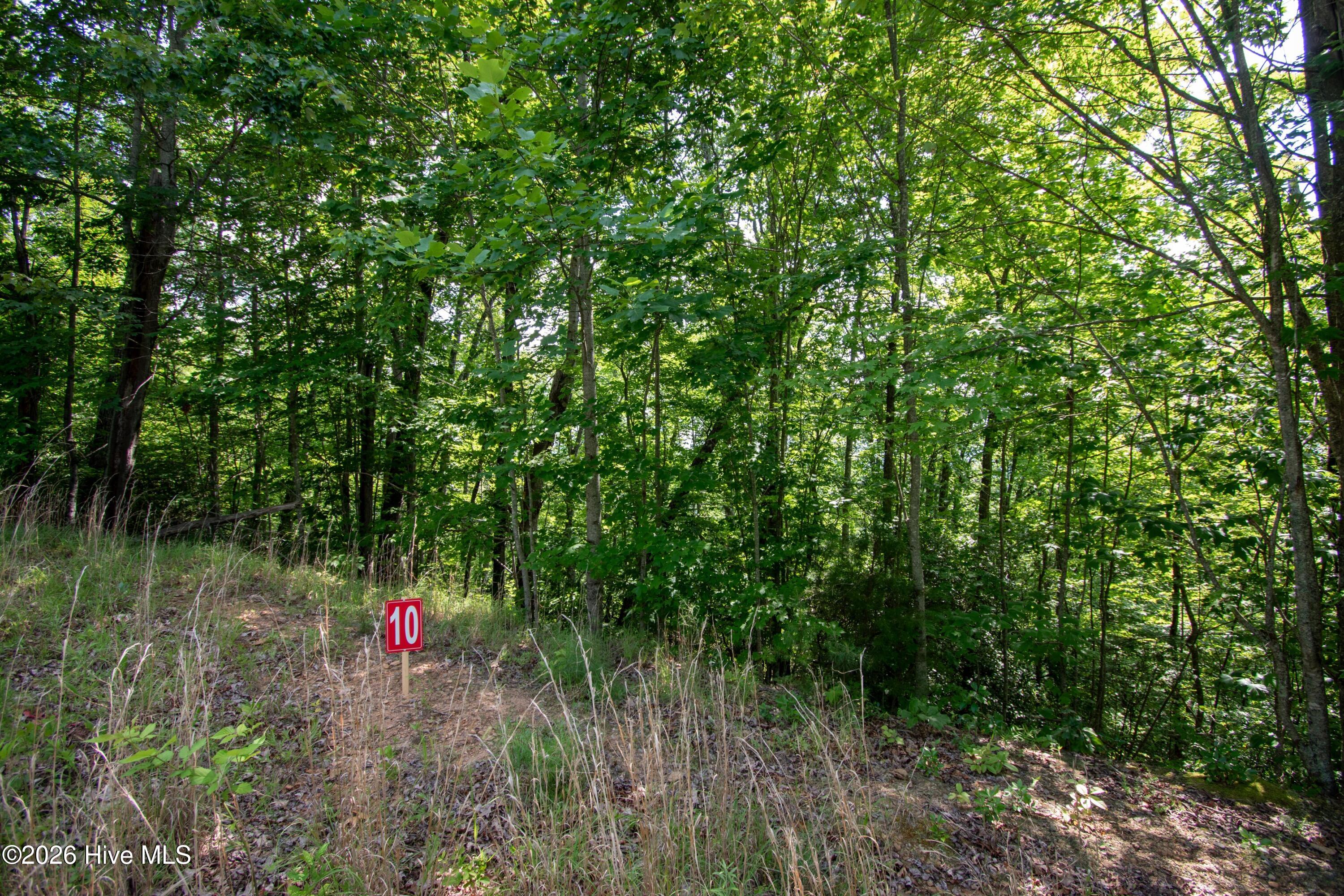 850 Bluff Road Property Photo 21
