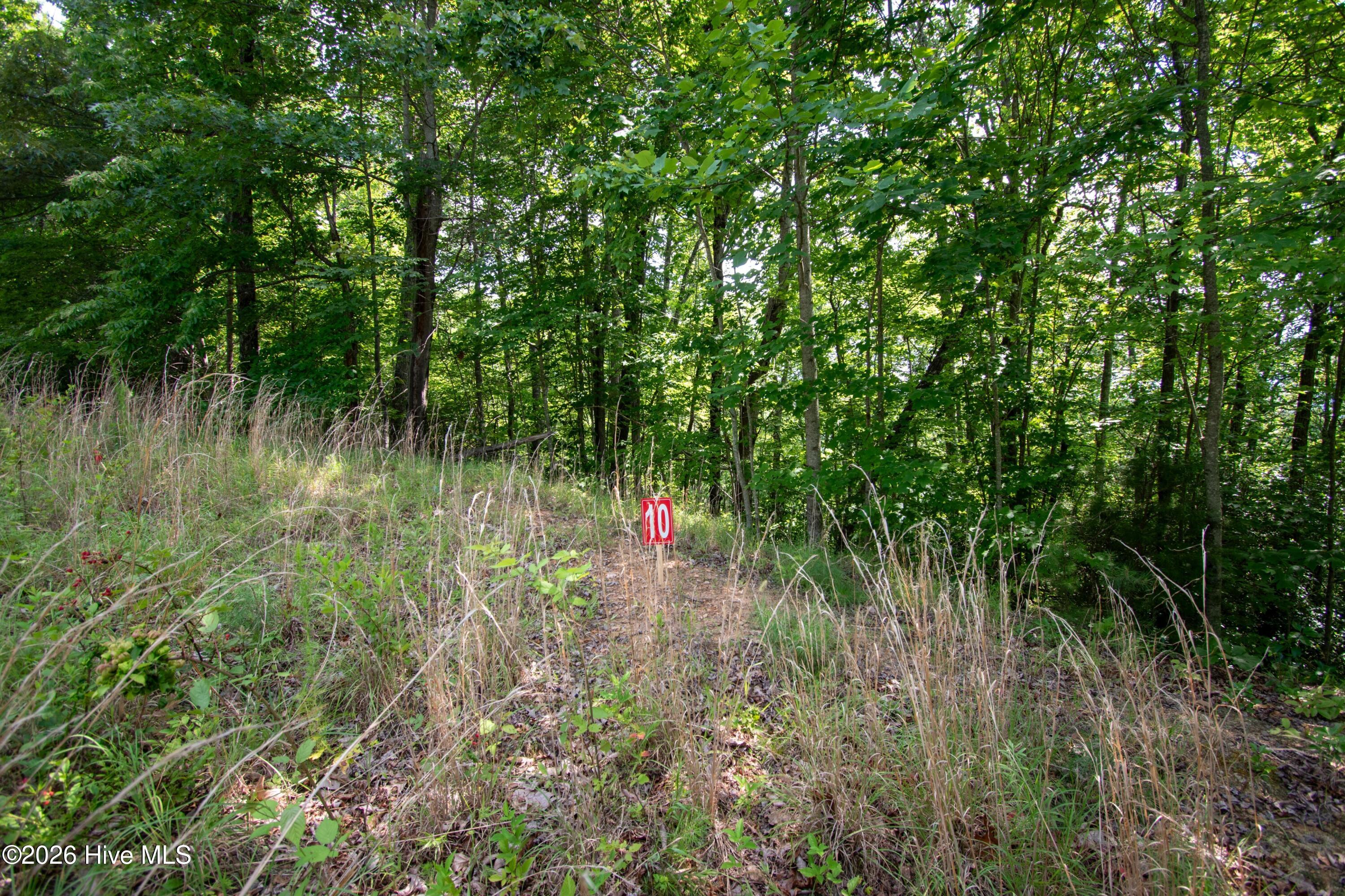 850 Bluff Road Property Photo 23