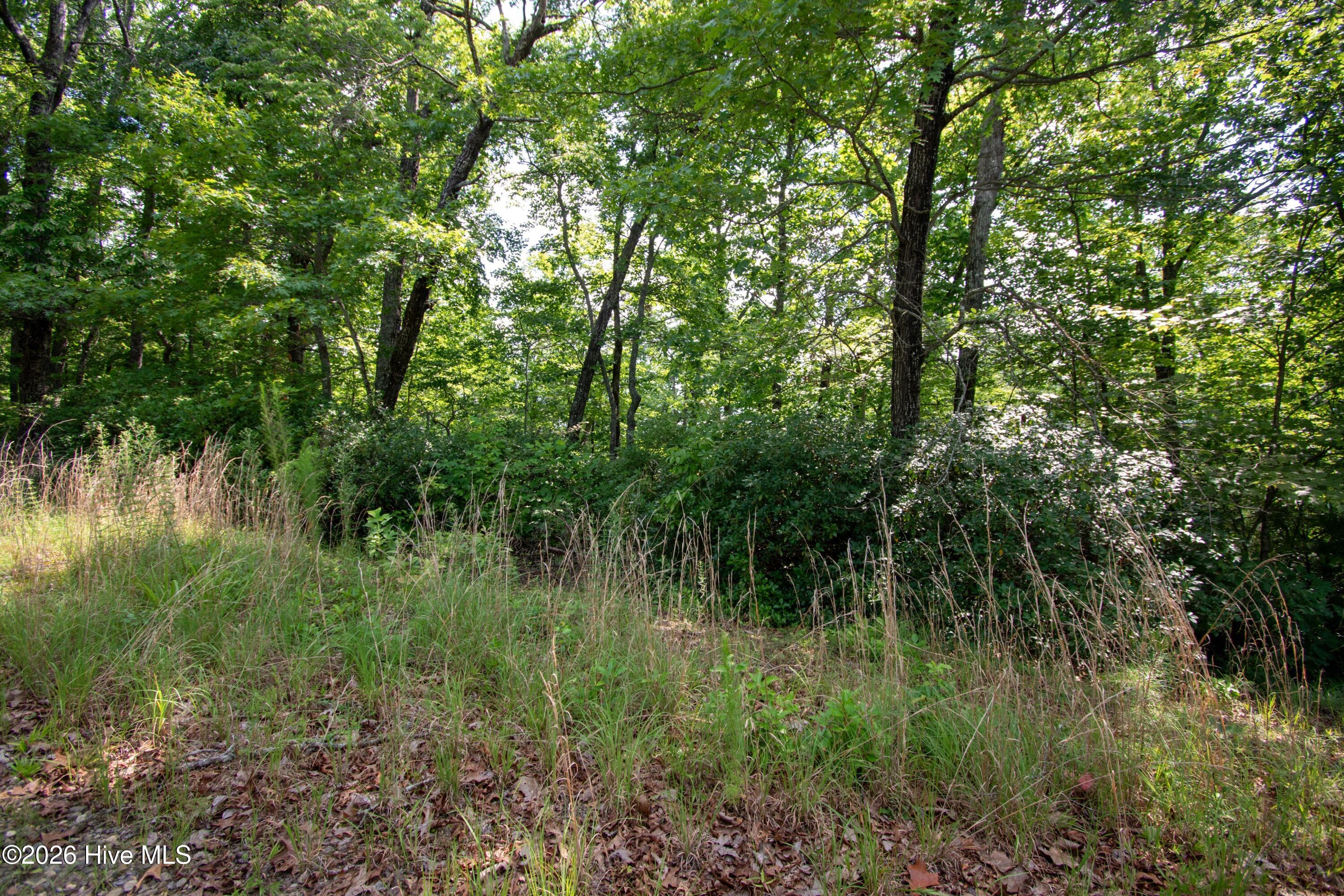 850 Bluff Road Property Photo 24