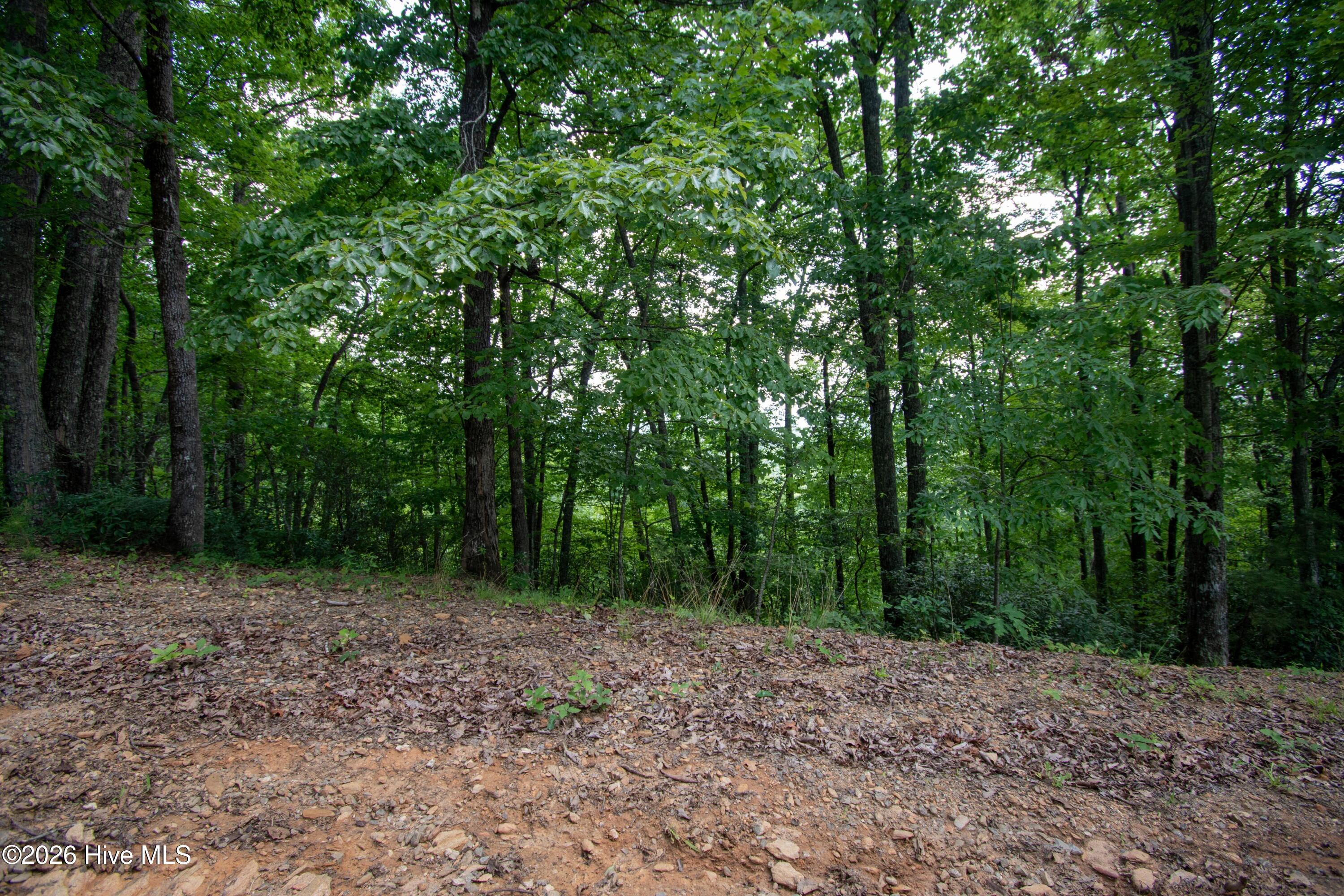 850 Bluff Road Property Photo 26