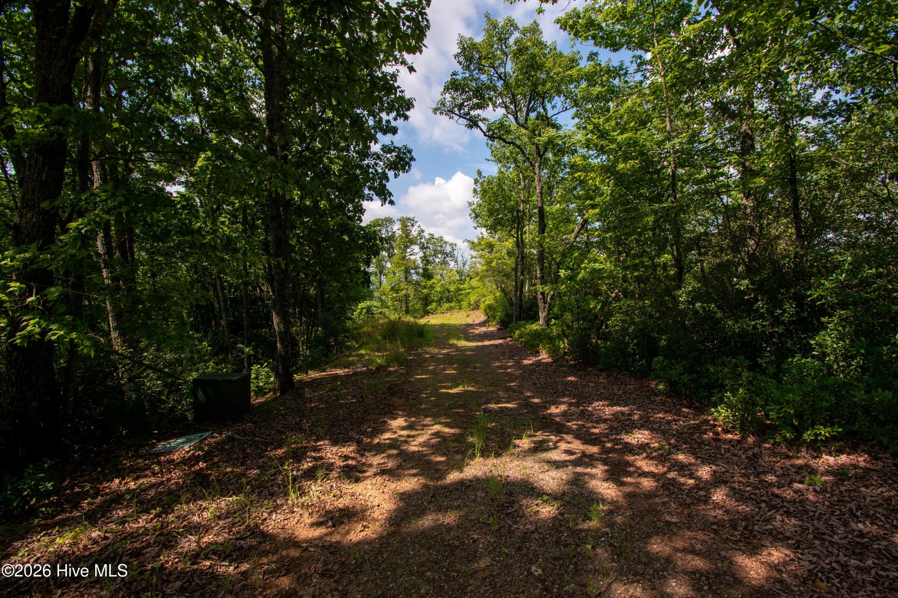850 Bluff Road Property Photo 28