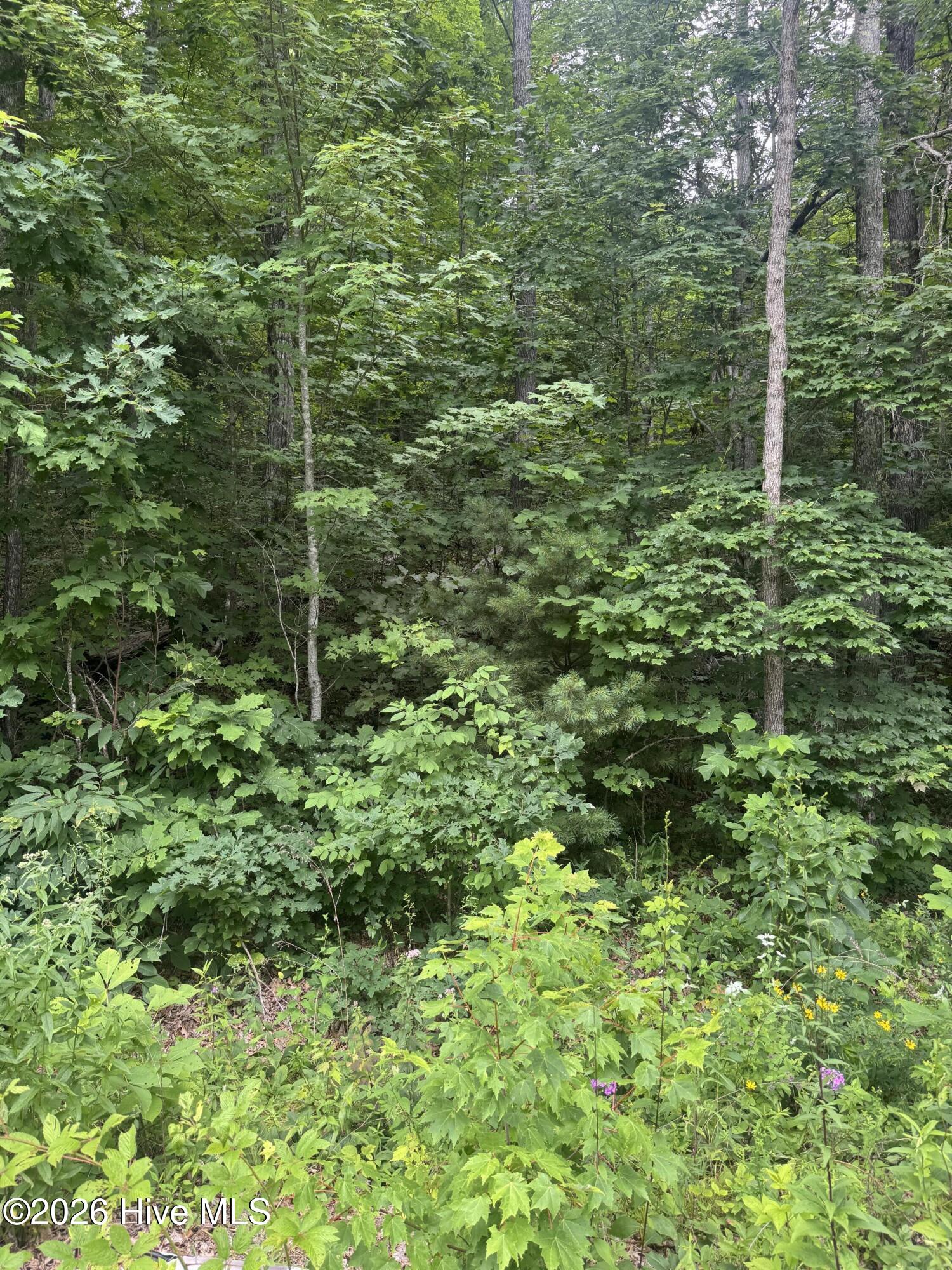 78 78 Lt 78 Pitch Pine Drive Property Photo 2