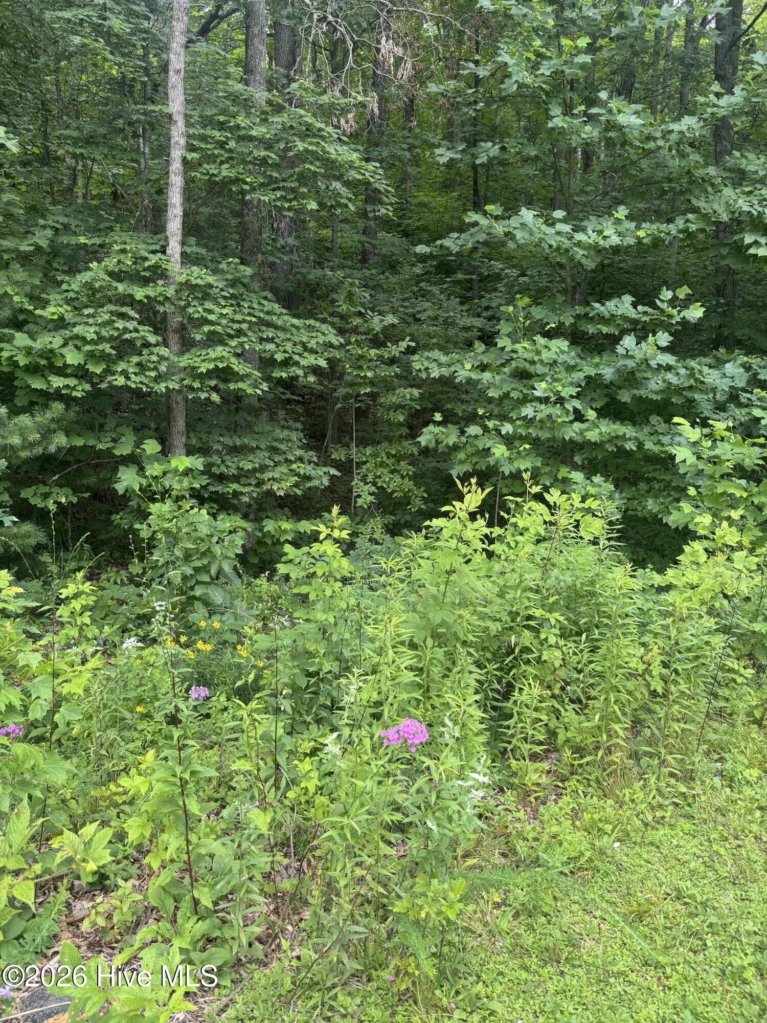 78 78 Lt 78 Pitch Pine Drive Property Photo 4