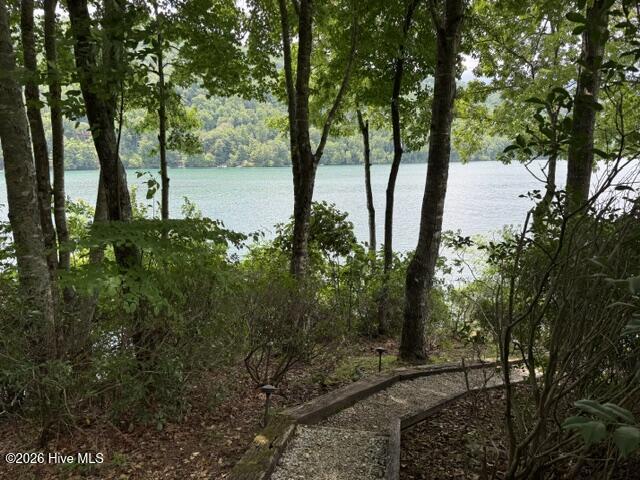 123 Tom Hay Drive Property Photo 28
