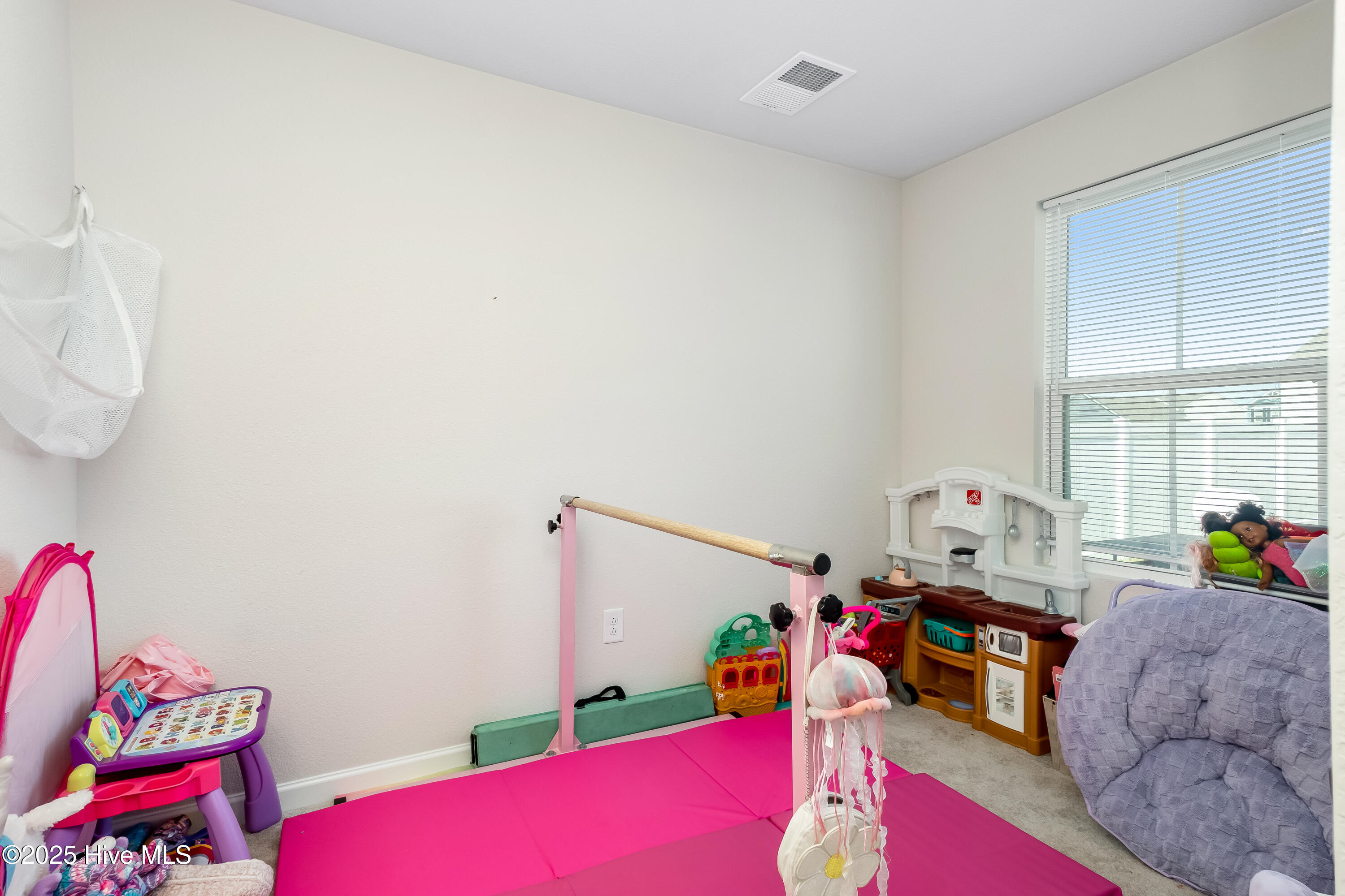 3731 Goose Pond Way Property Photo 19