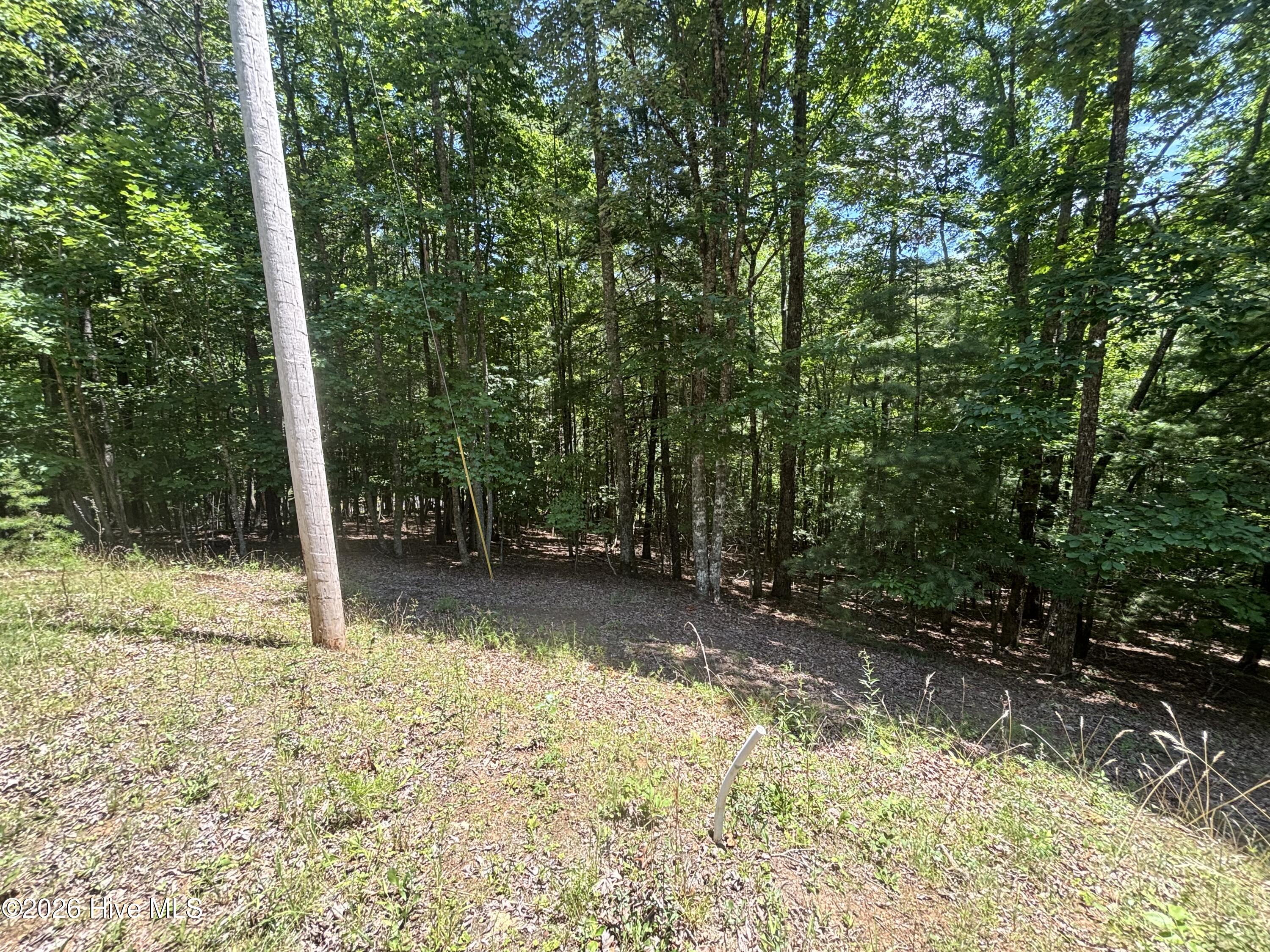 52a Pine Cove Lane Property Photo 3
