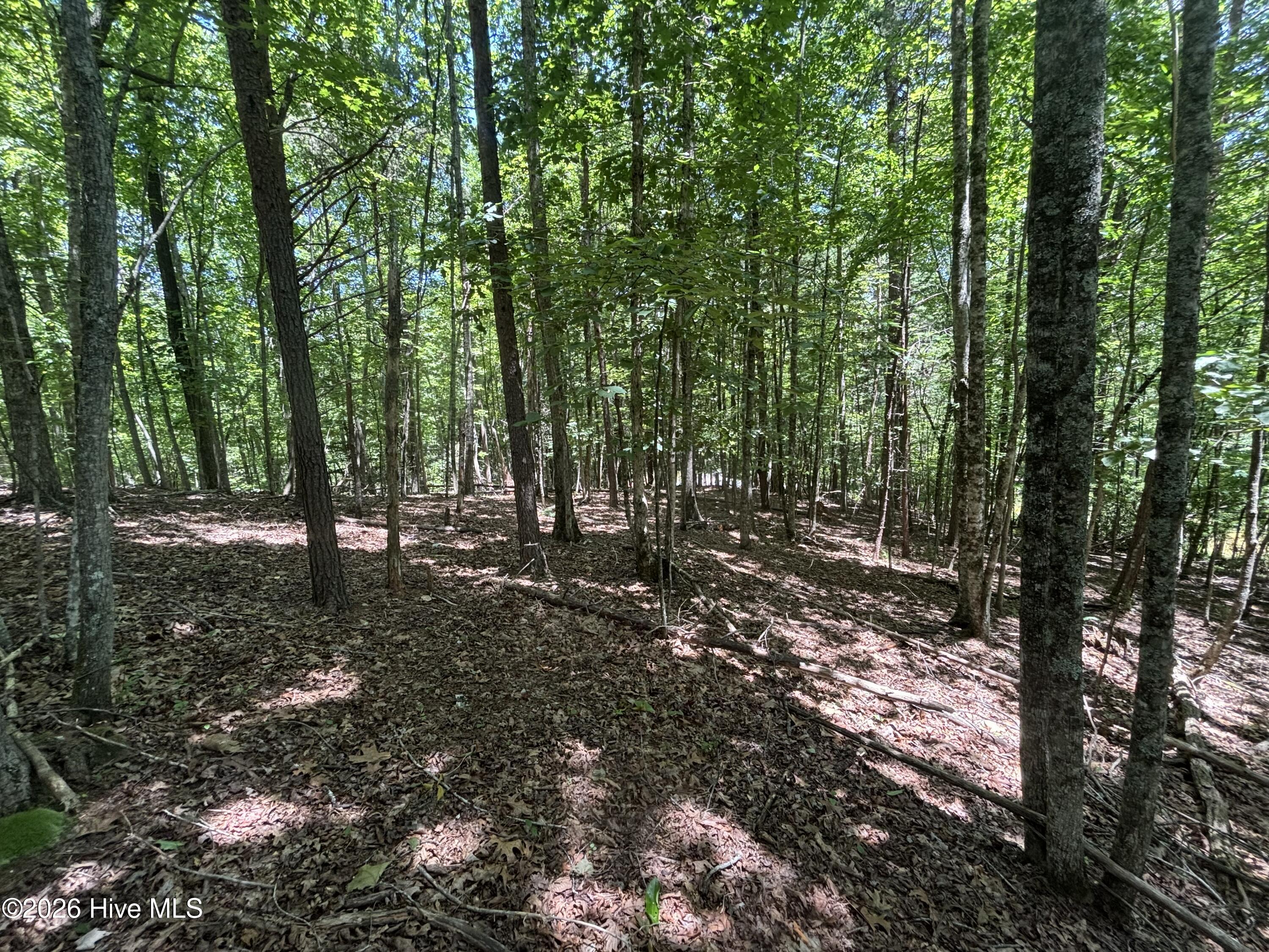 52a Pine Cove Lane Property Photo 4