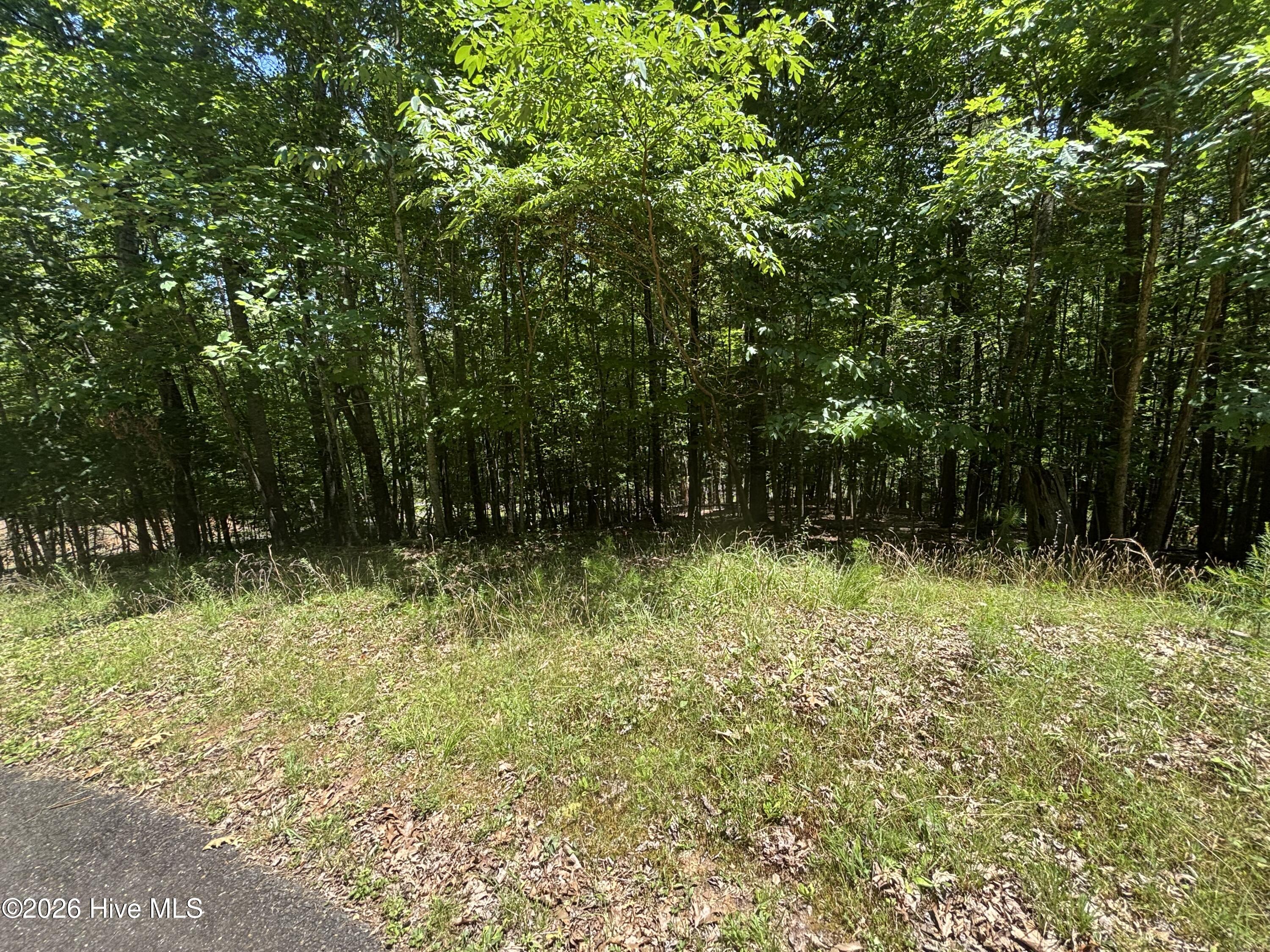 52a Pine Cove Lane Property Photo 5