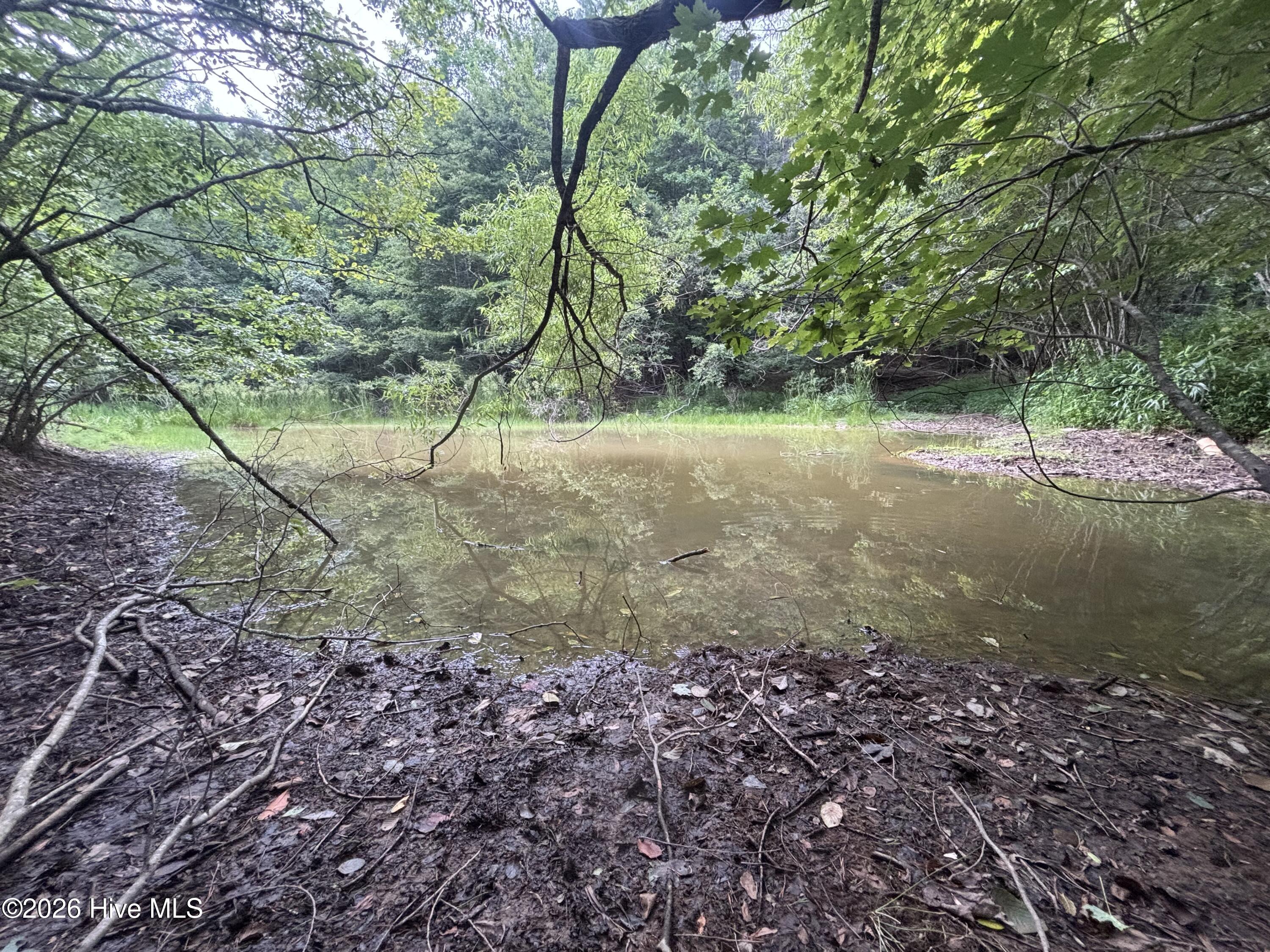 52a Pine Cove Lane Property Photo 7