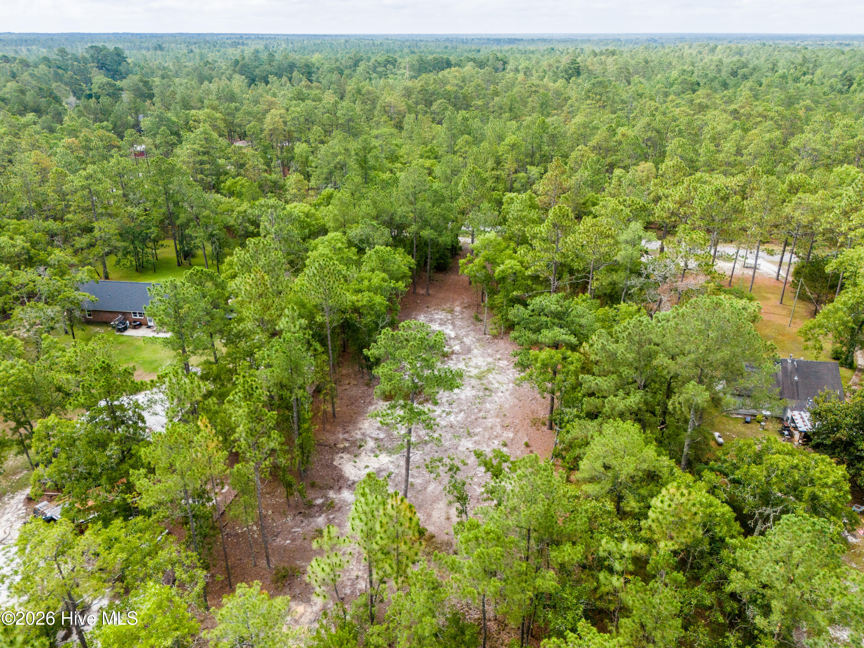 0 Bear Branch Drive Property Photo 3