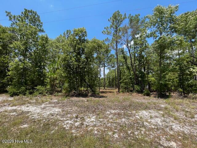 0 Bear Branch Drive Property Photo 5