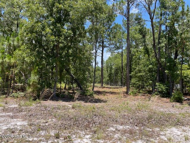 0 Bear Branch Drive Property Photo 6